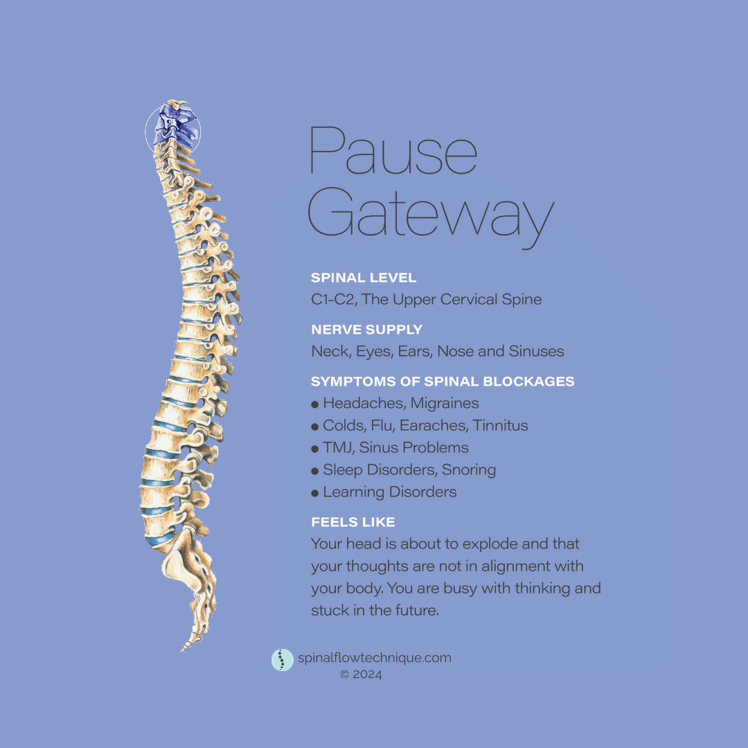 Illustration of a human spine with informational text about the pause gateway, including spinal level, nerve supply, symptoms of spinal blockages, and how it feels, with a blue background.