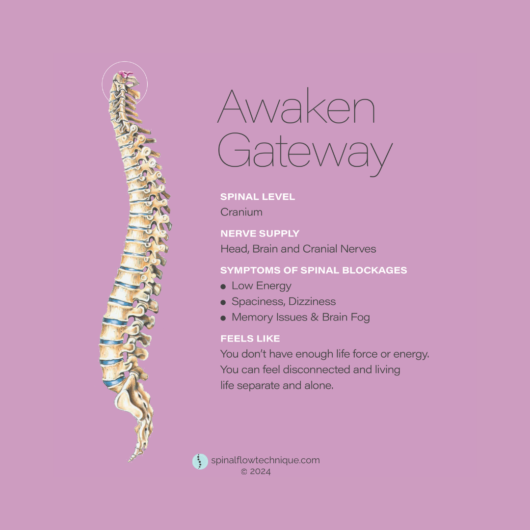 An infographic titled 'Awaken Gateway' with a detailed illustration of a human spine on a purple background. The infographic discusses spinal level, nerve supply, symptoms of spinal blockages, and feelings associated with them, including low energy, dizziness, and disconnection.