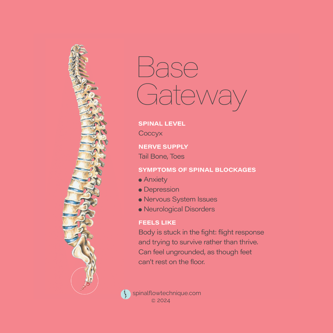 A diagram of the human spine labeled 'Base Gateway' on a pink background, with details about spinal level, nerve supply, symptoms of spinal blockages, and feelings associated with spinal issues.