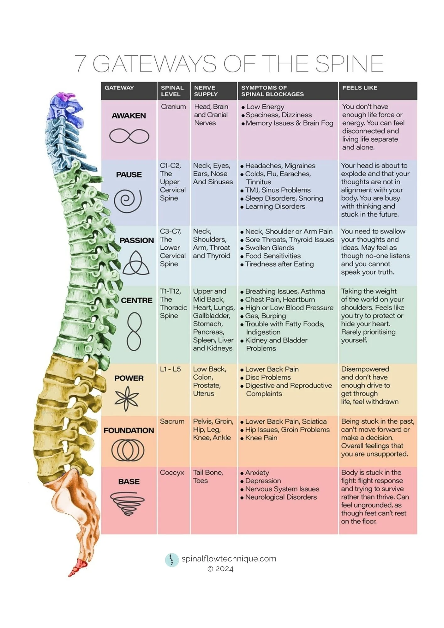 Chart titled '7 Gateways of the Spine' showing seven sections of the human spine with descriptions of spinal level, nerve supply, symptoms of blockages, and feelings associated with each section, from the base to the cranium.