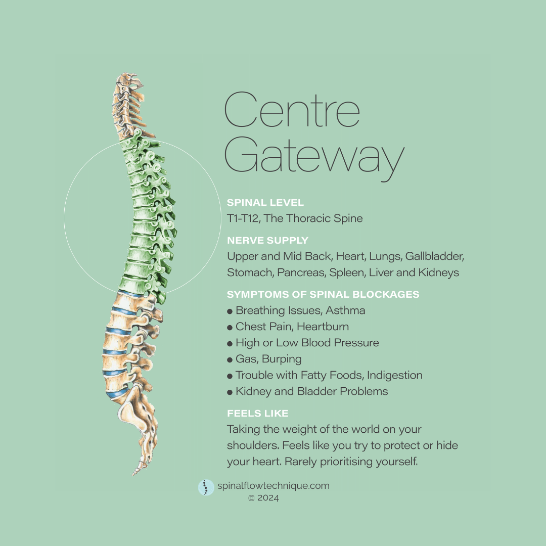 Illustration of a human spine with labeled sections, including spinal level T1-T12 and associated symptoms of spinal blockages.