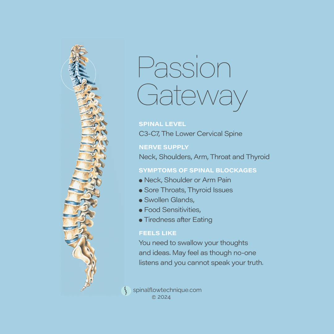 Diagram of the lower cervical spine with informative text about spinal level C3-C7, nerve supply, symptoms of spinal blockages, and feelings associated with spinal issues, on a light blue background.