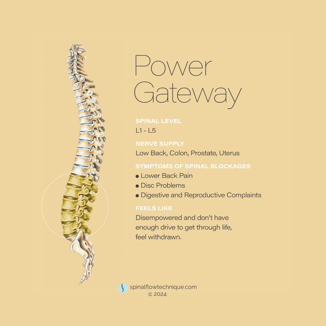 An illustration of a human spine with a highlighted lumbar section. Text describing spinal health, nerve supply, symptoms of spinal blockages, and how it feels for those affected. The background is beige, and the website spinalflowtechnique.com is at the bottom.