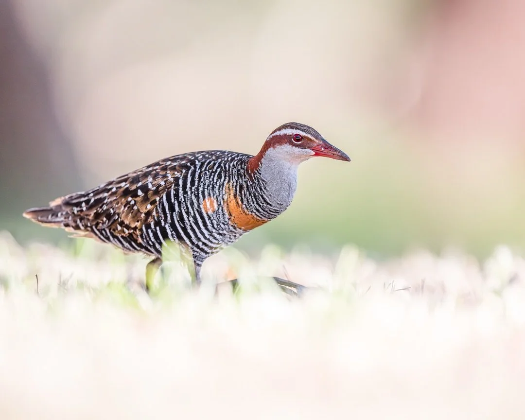 After a week off, it&rsquo;s time to get back into it! During the break I spent time working through a few editing courses and putting in plenty of practice. Hopefully over the coming weeks you&rsquo;ll start to notice improvements in the areas I fel