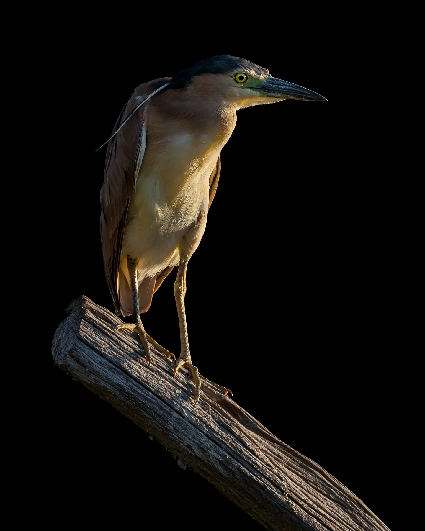 When I first started photography, I never understood why people would say that they just haven&rsquo;t gotten around to editing something. Now I swear I end up putting just as many aside to edit at a later date than I actually edit on the same day 🥲