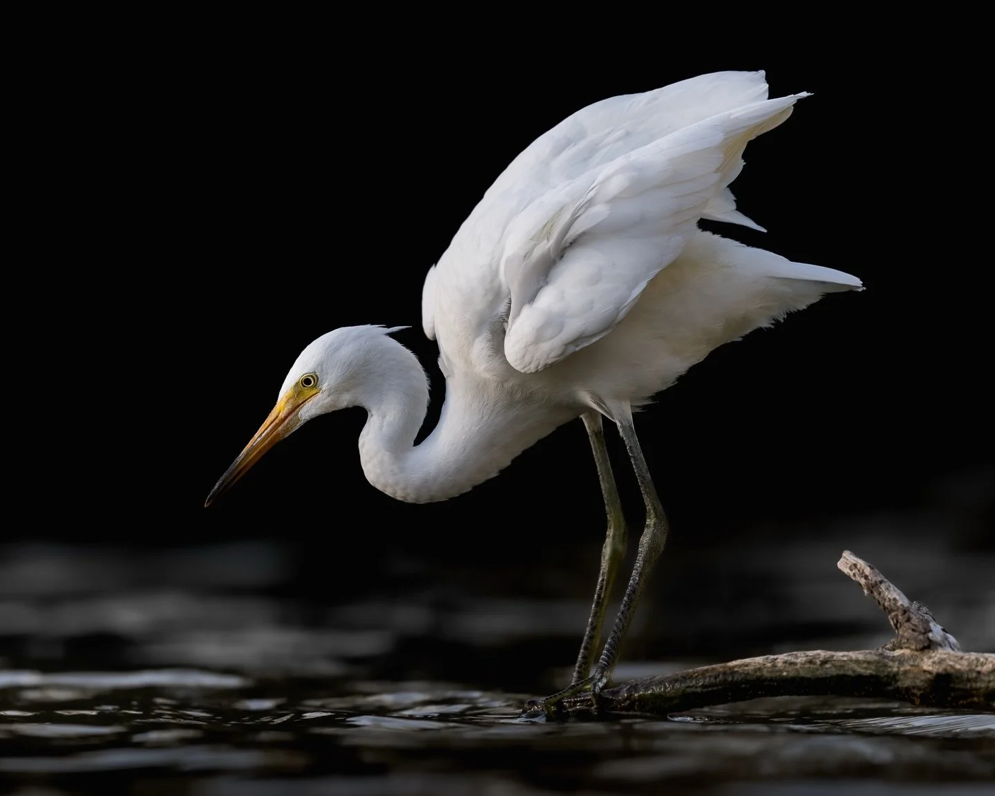 Going back though last years archived photos has begun! Although it feels a little counter productive cutting down the days that I go out. 😂  I really did skip over quite a few images that have potential, and I think I just didn&rsquo;t have the rig