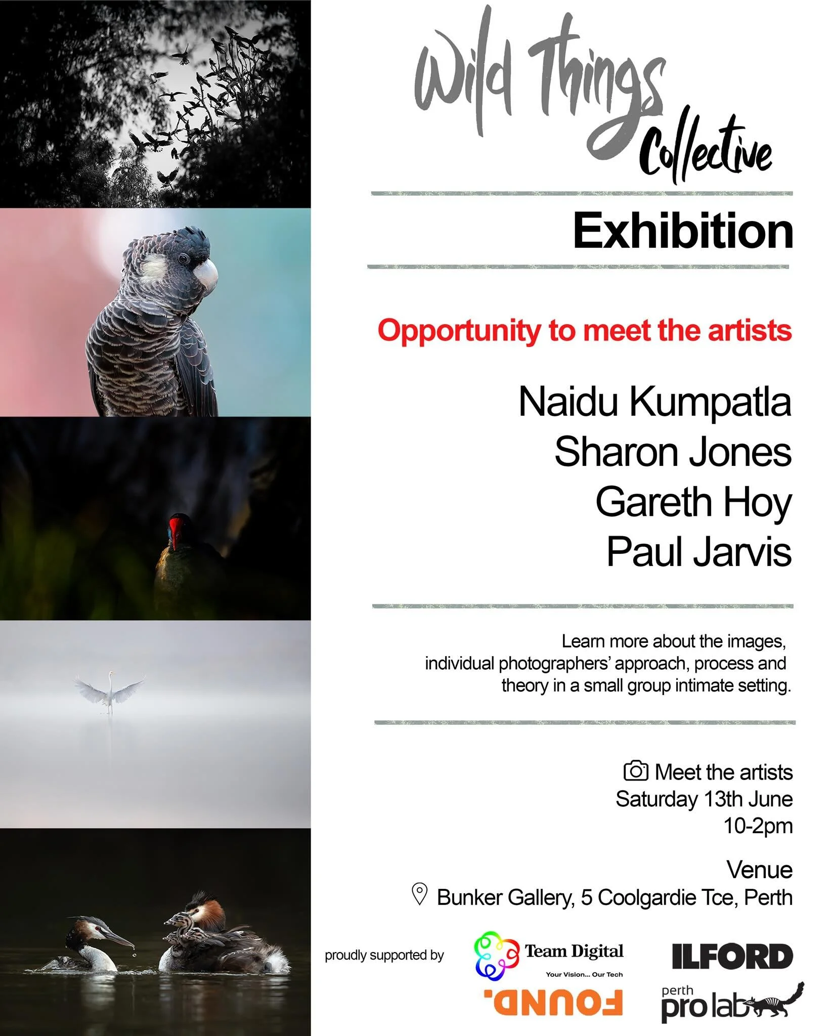 Join myself, and:
@pauljarvisphoto
@naidu_kumpatla
@sharonjones_wildlifephoto

For a few hours at the Team Digital Bunker Gallery on Saturday 13th June from 10am-2pm for a more casual personal talk. Learn all about our individual approach, process an
