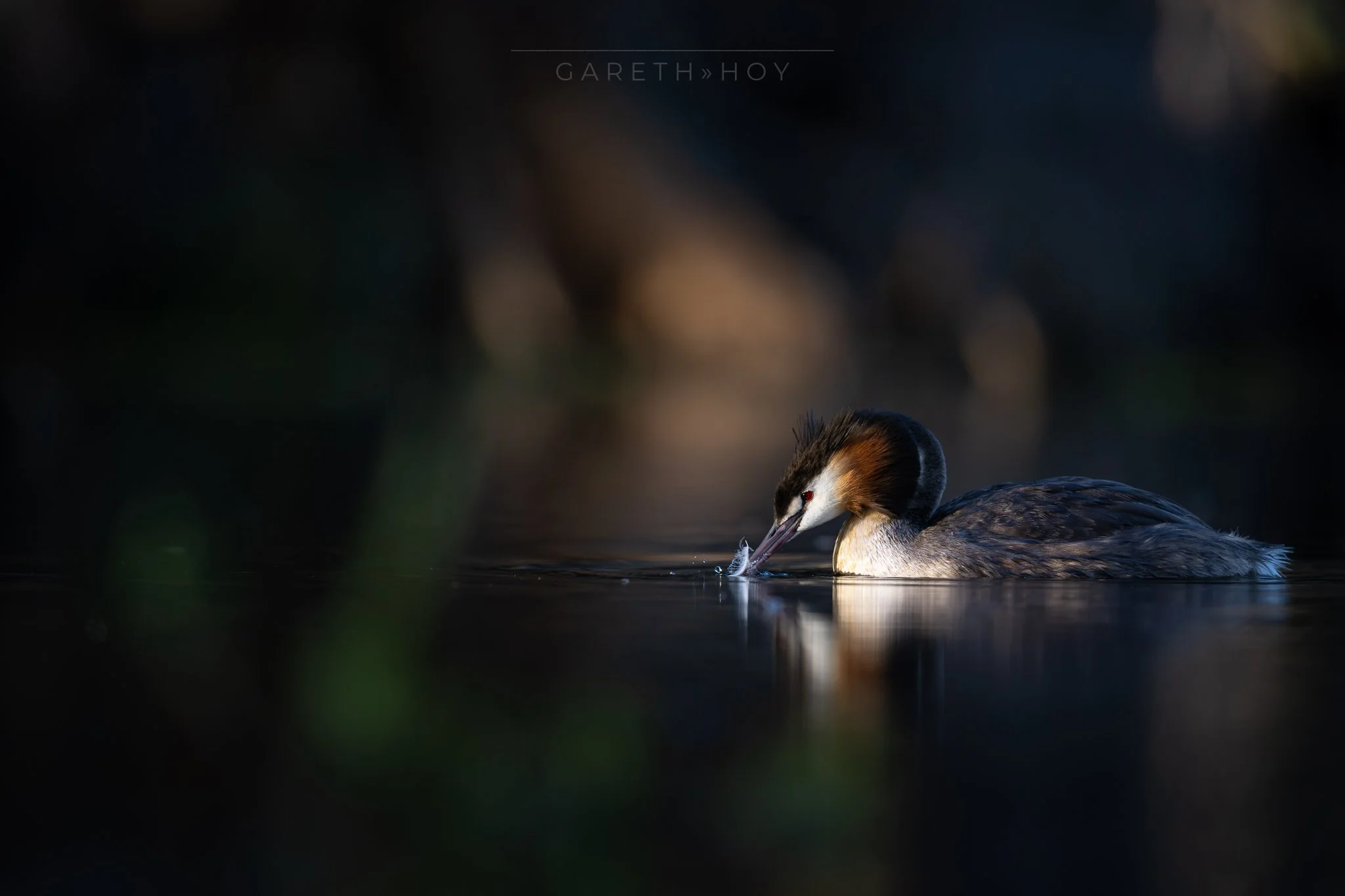 Delicate Balance