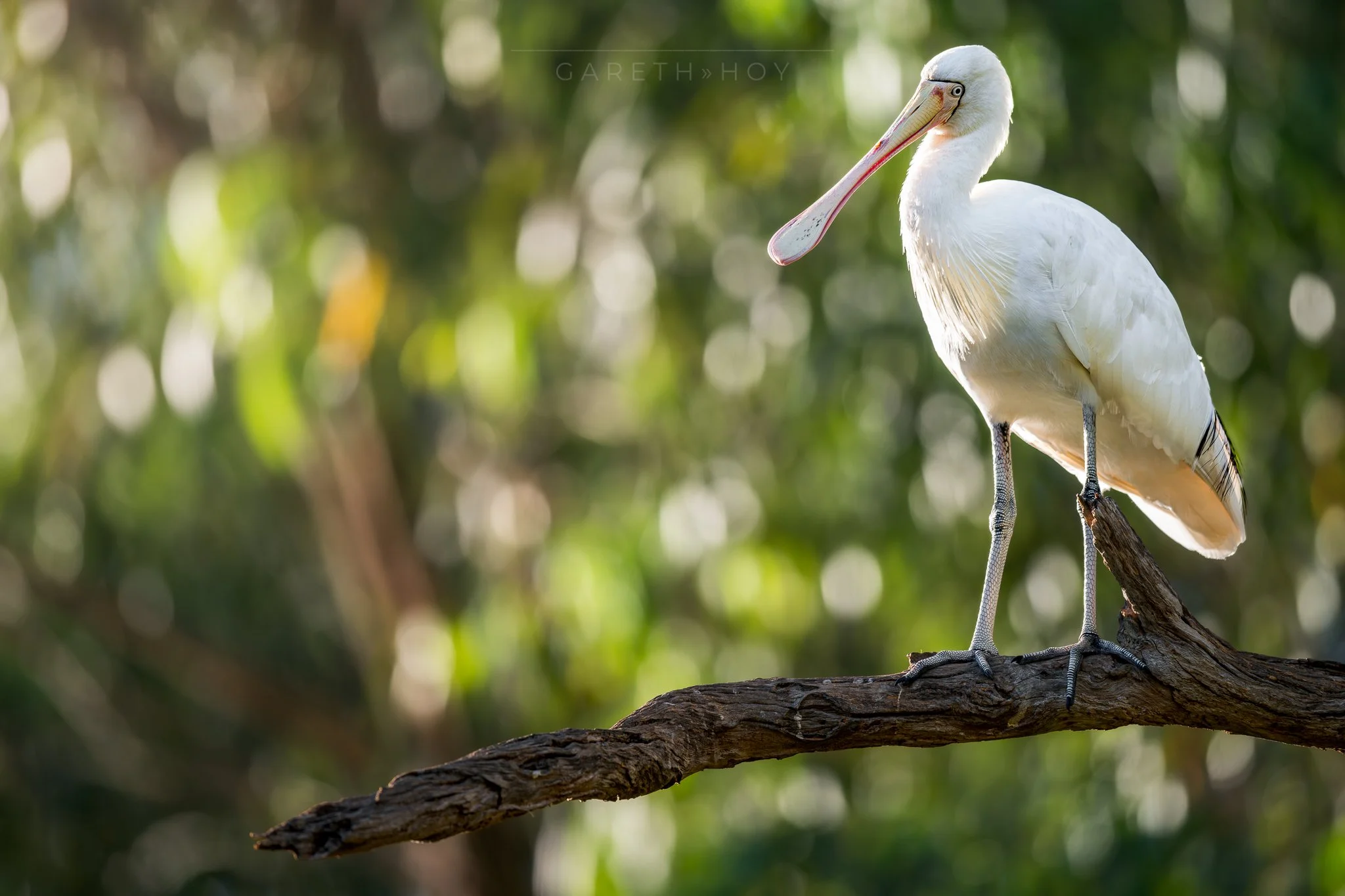 20260207-20260207-CZ8_0451-Facebook 2048-2.jpg