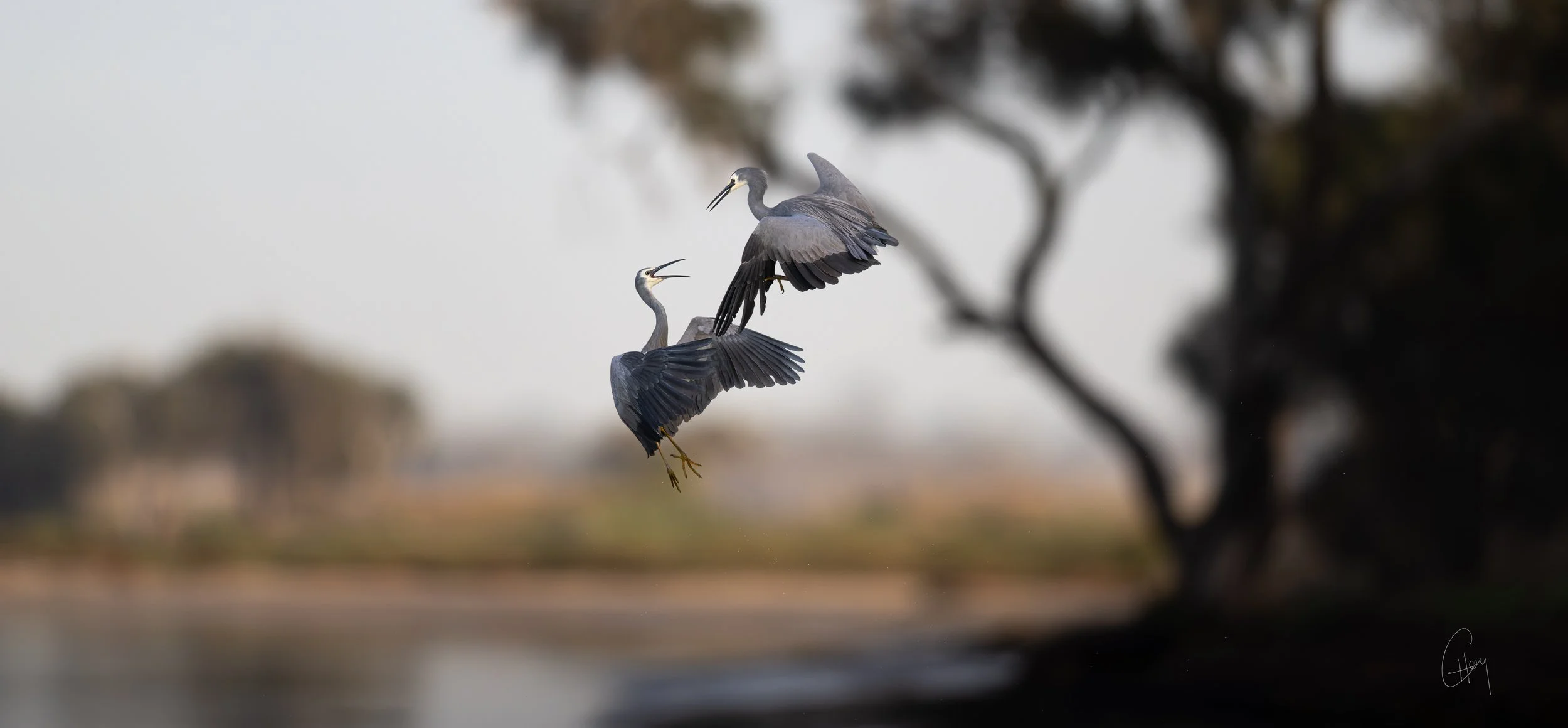 1 of 10 Battle for Territory