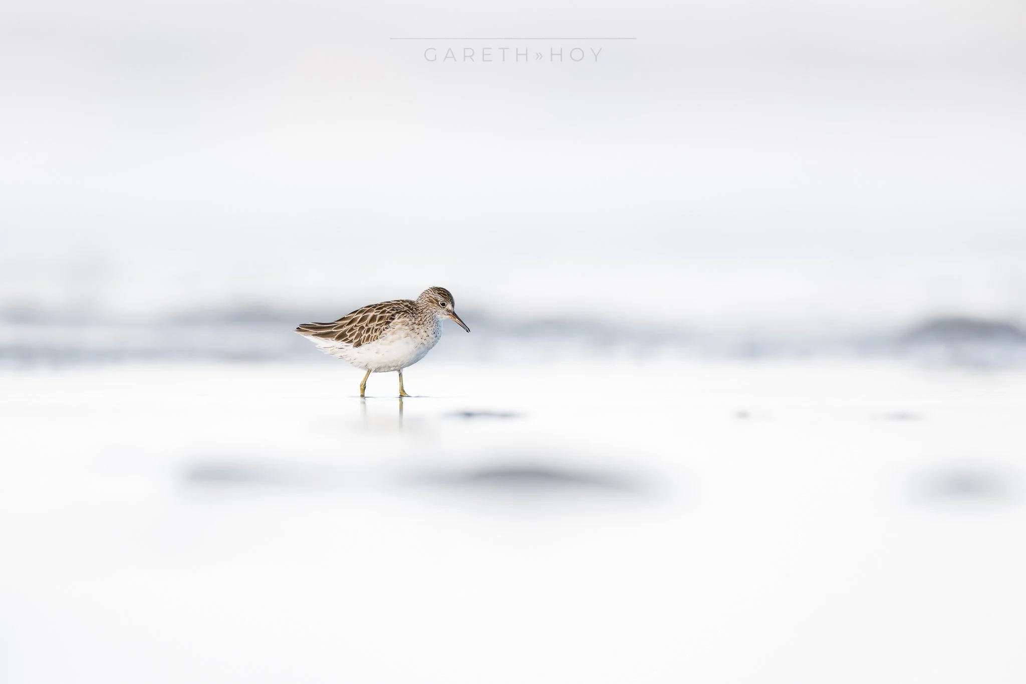 20260130-GZ9_2640-Facebook 2048-2.jpg