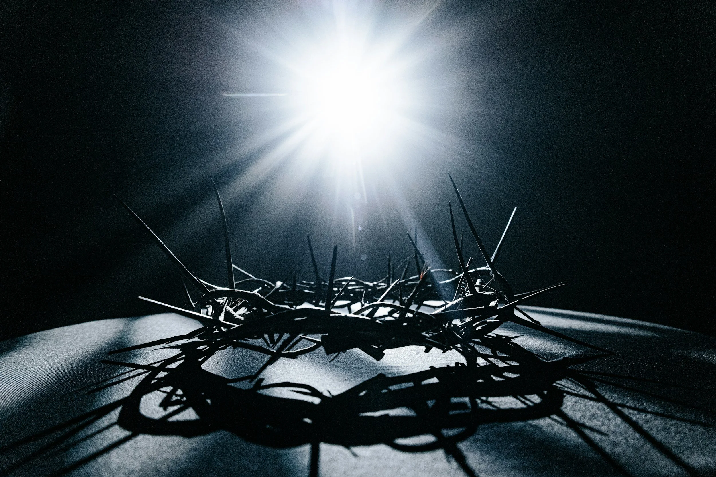 A crown of thorns casting a shadow on a surface, illuminated from above by a bright light source.