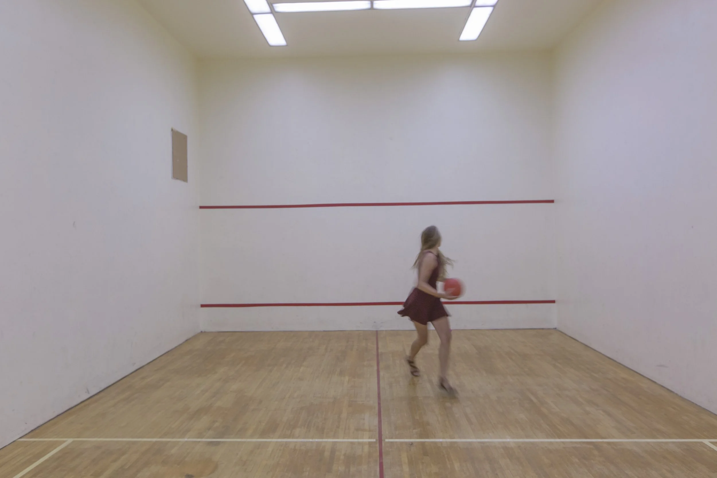 The Pierre. 2100 N. Lincoln Park West, Lincoln Park, Chicago.