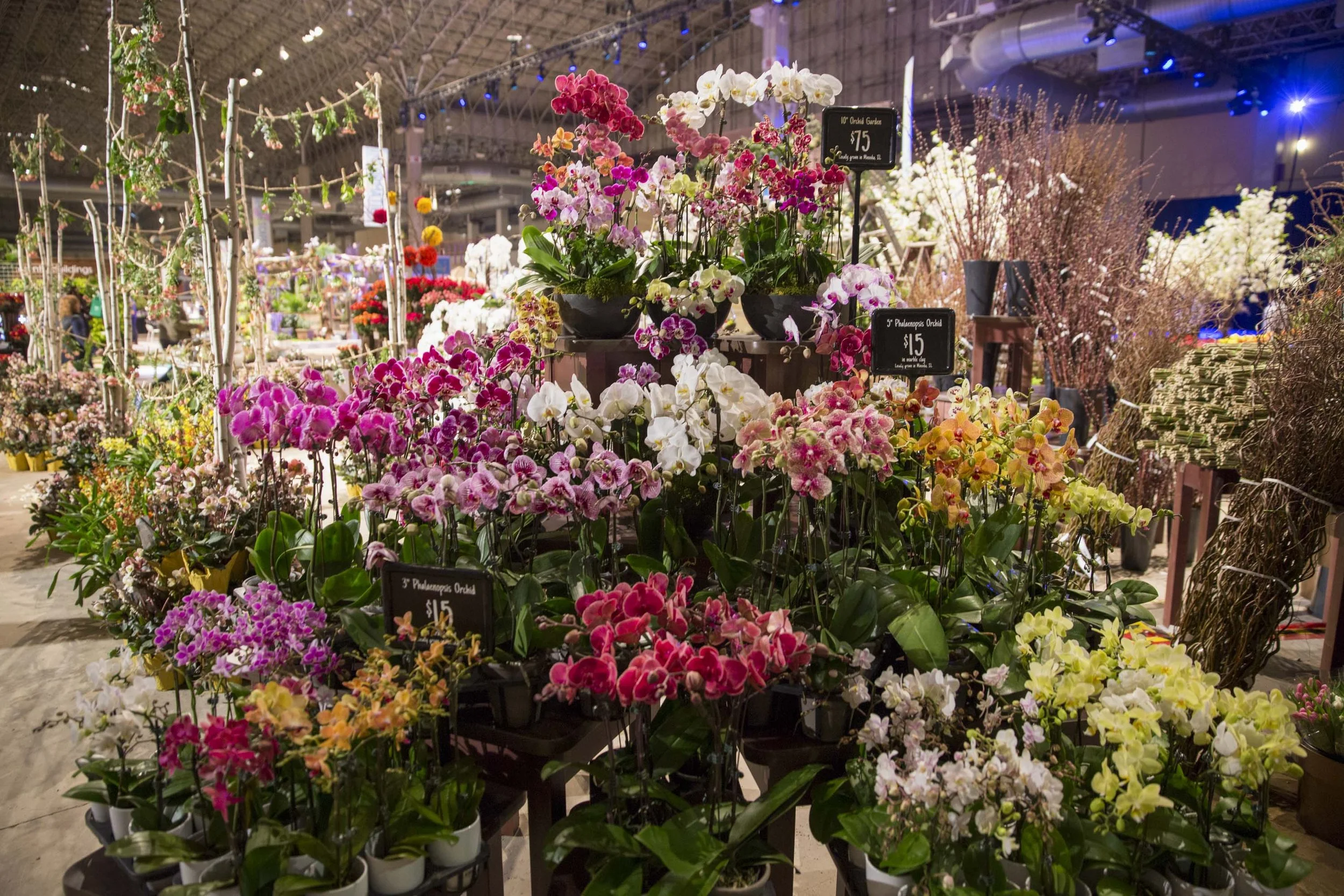 Chicago Flower & Garden Show