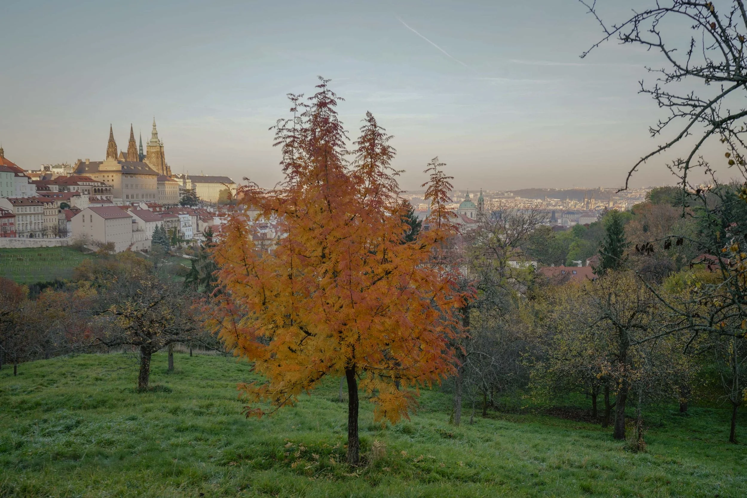 2511_Prague_FallColors_WebsiteReady-23.jpg
