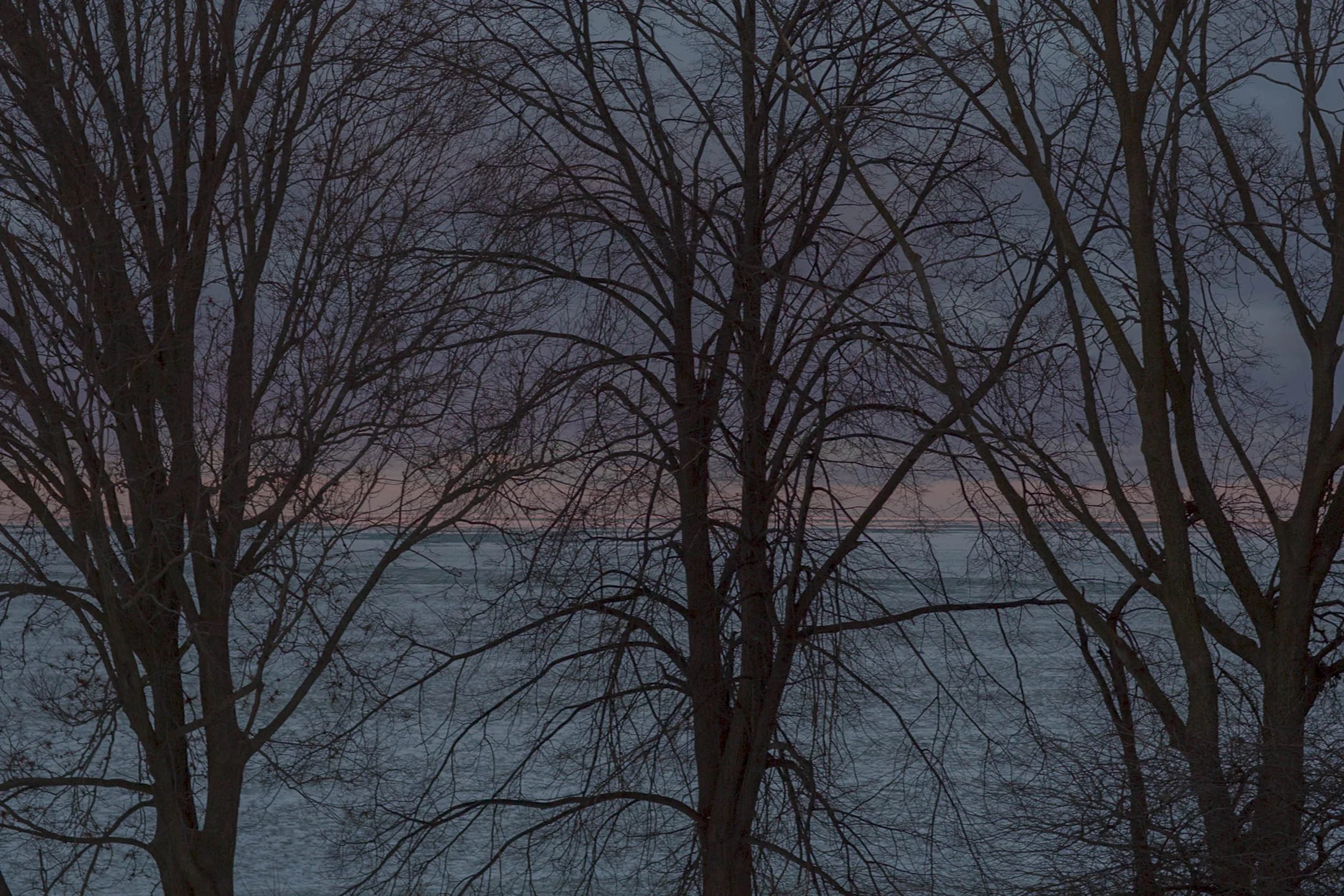 Series Title:  4 Seasons, 4 Colors, 1 Chicago.