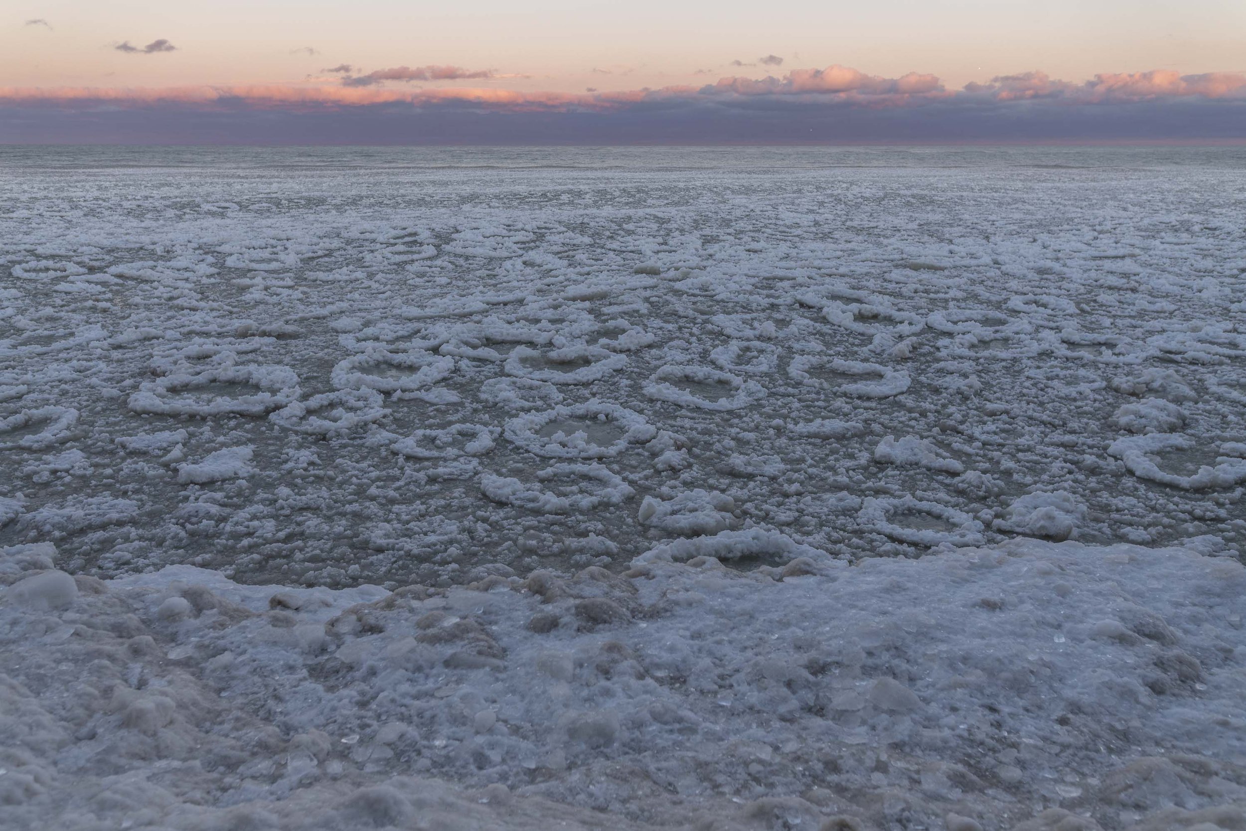 21_WinterStormRogersPark_2026Update_PolarVortex_Website-15.jpg