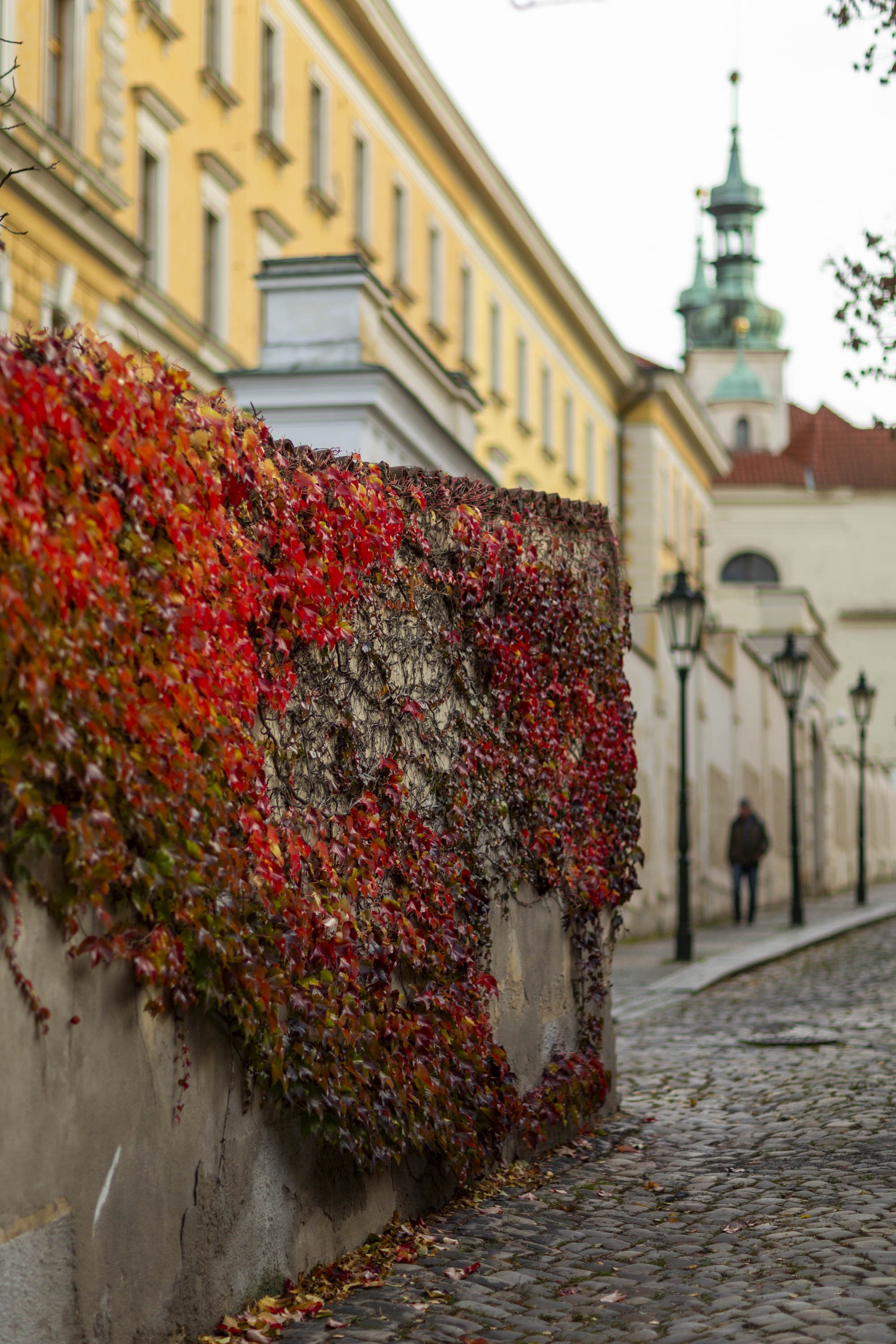 2511_Prague_FallColors_WebsiteReady-18.jpg