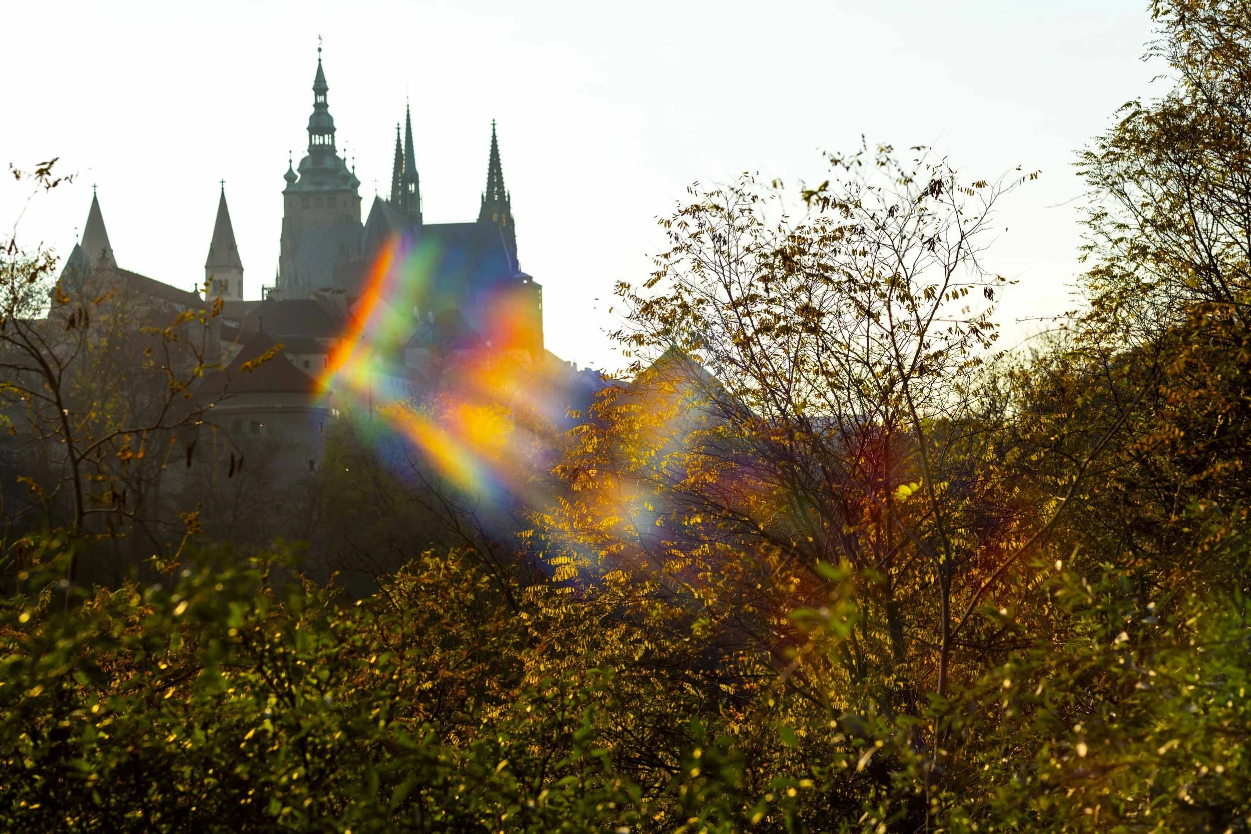 2511_Prague_FallColors_WebsiteReady-30.jpg