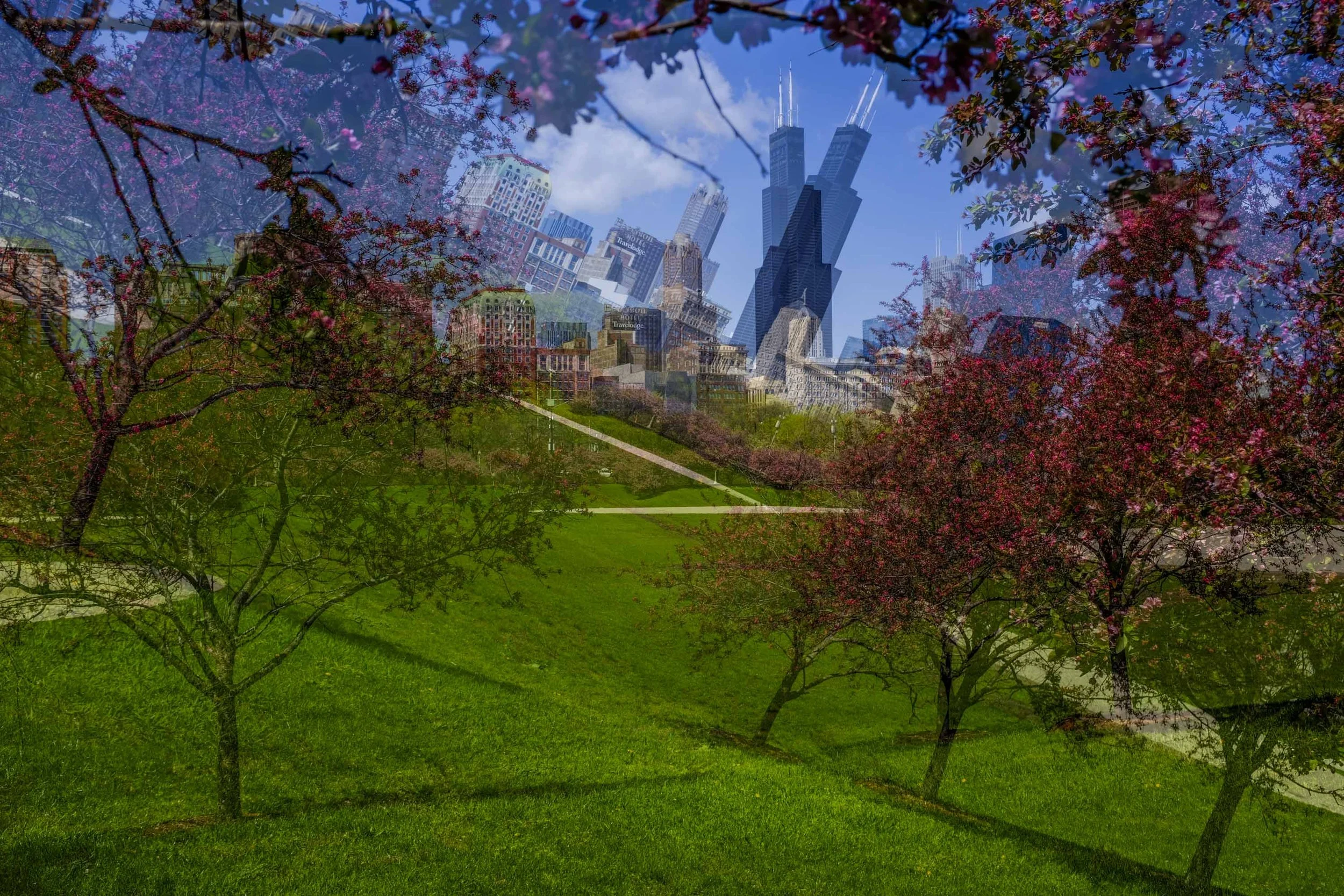 26_Skatelife_PhotographsChicago_GrantParkPicassoSpringRedTreeskyline_Website-31.jpg