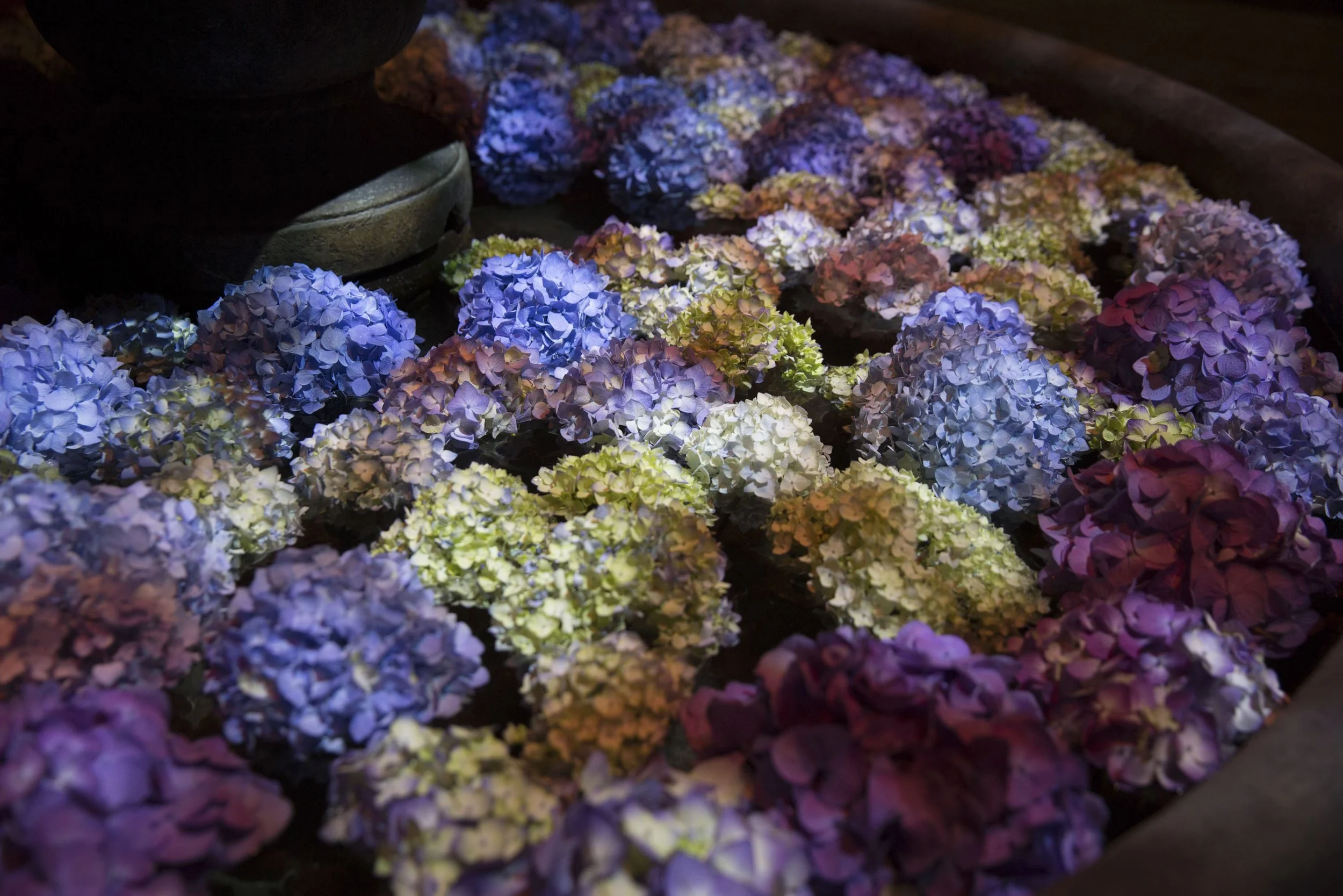 Chicago Flower & Garden Show