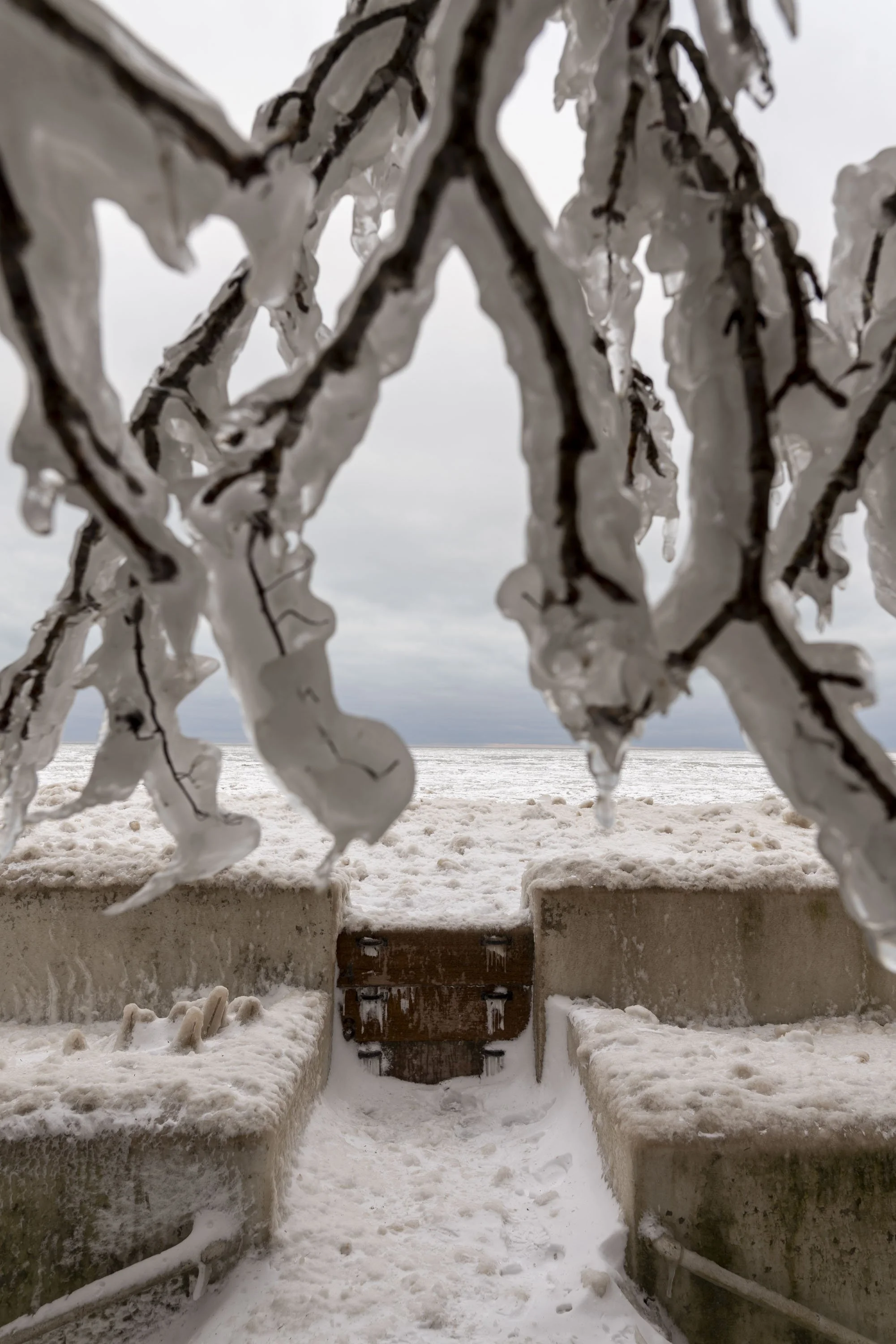21_WinterStormRogersPark_2026Update_PolarVortex_Website-4.jpg