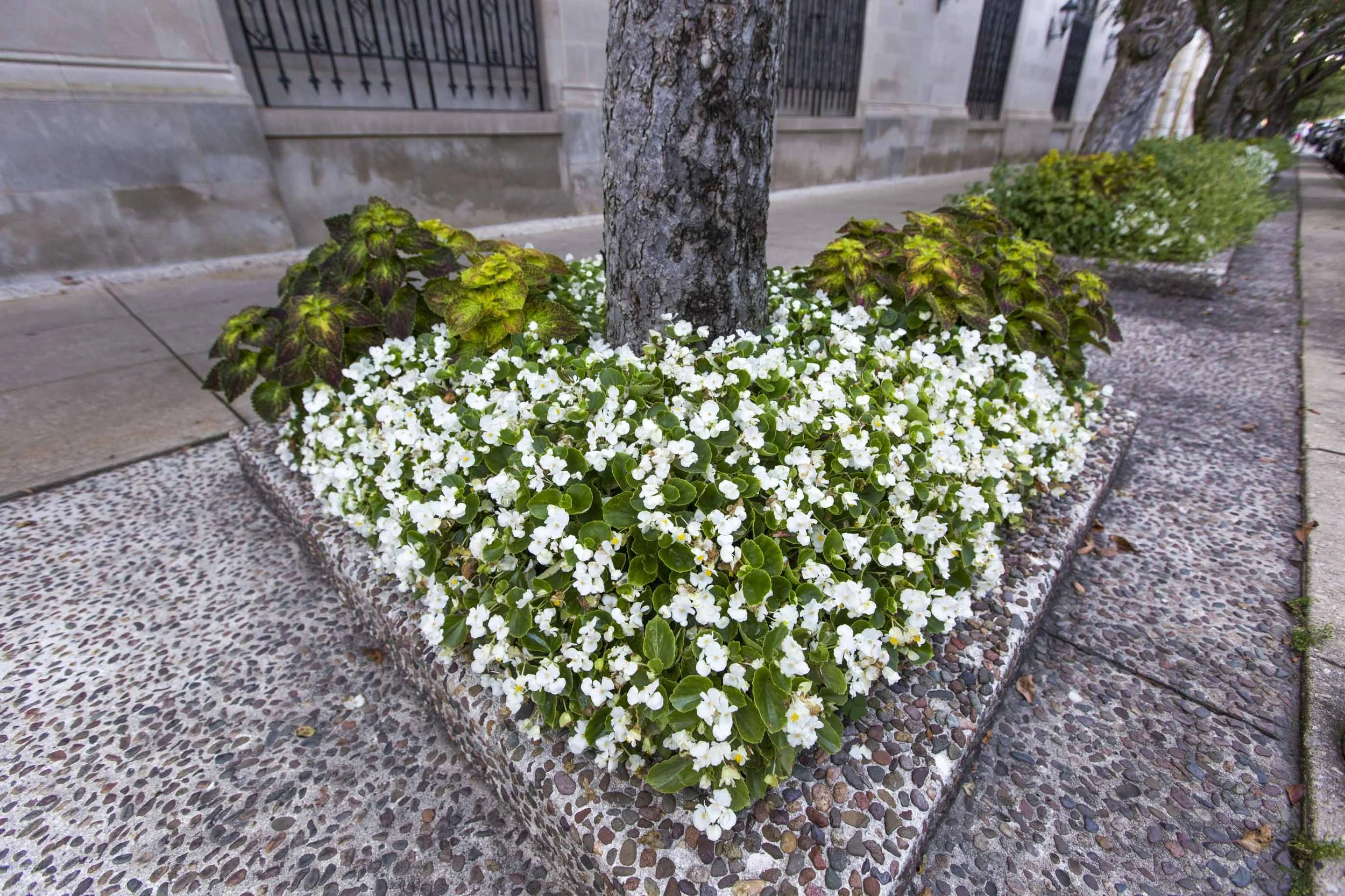 The Pierre. 2100 N. Lincoln Park West, Lincoln Park, Chicago.