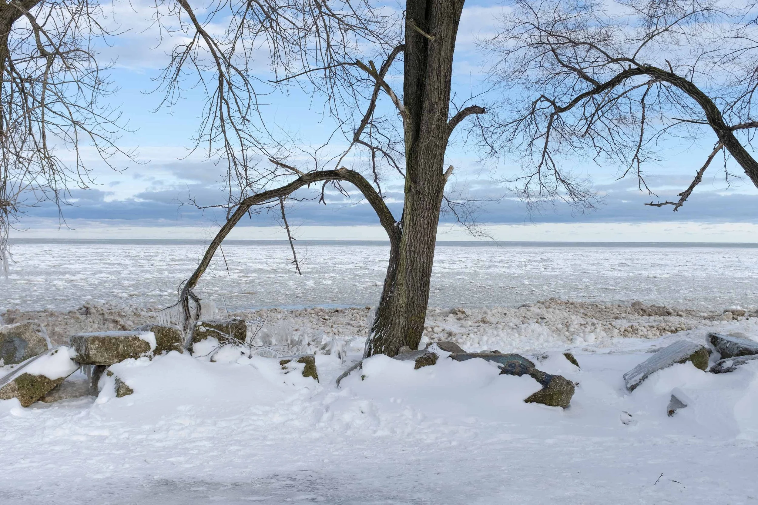 21_WinterStormRogersPark_2026Update_PolarVortex_Website-11.jpg