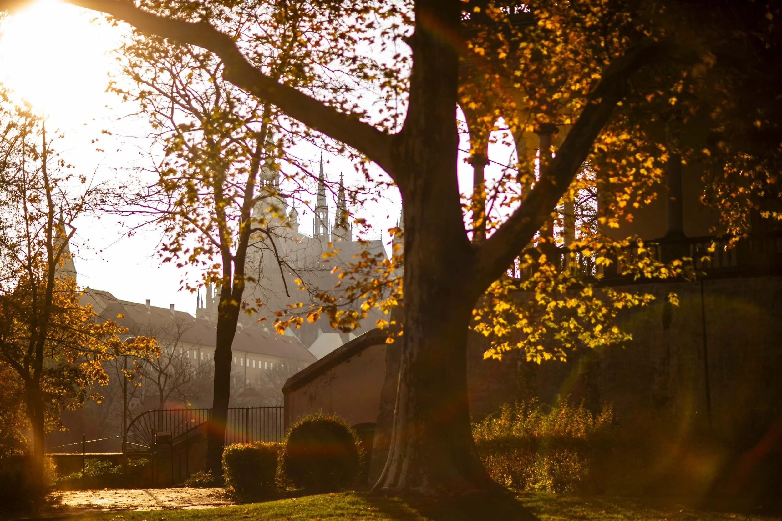 2511_Prague_FallColors_WebsiteReady-25.jpg