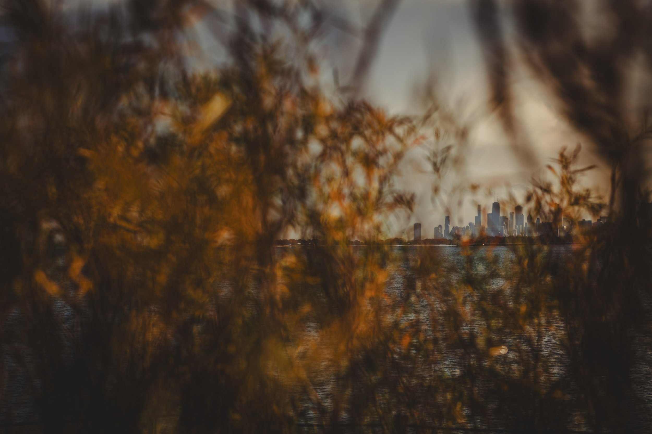 City skyline in the distance framed by out-of-focus autumn leaves in the foreground.