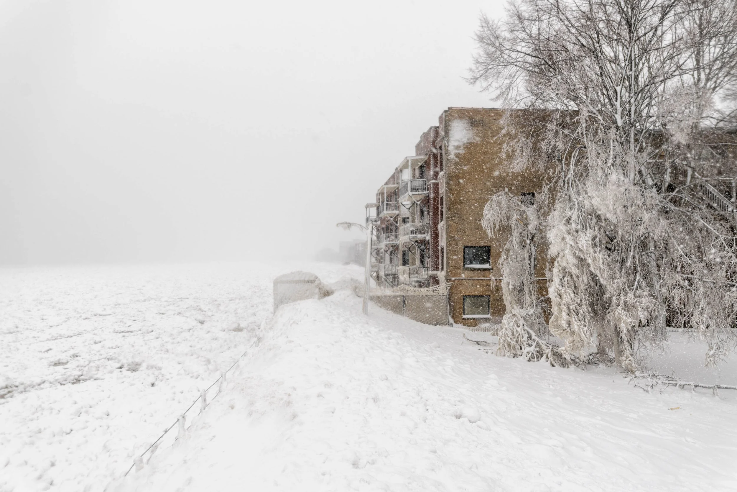 21_WinterStormRogersPark_2026Update_PolarVortex_Website-13.jpg