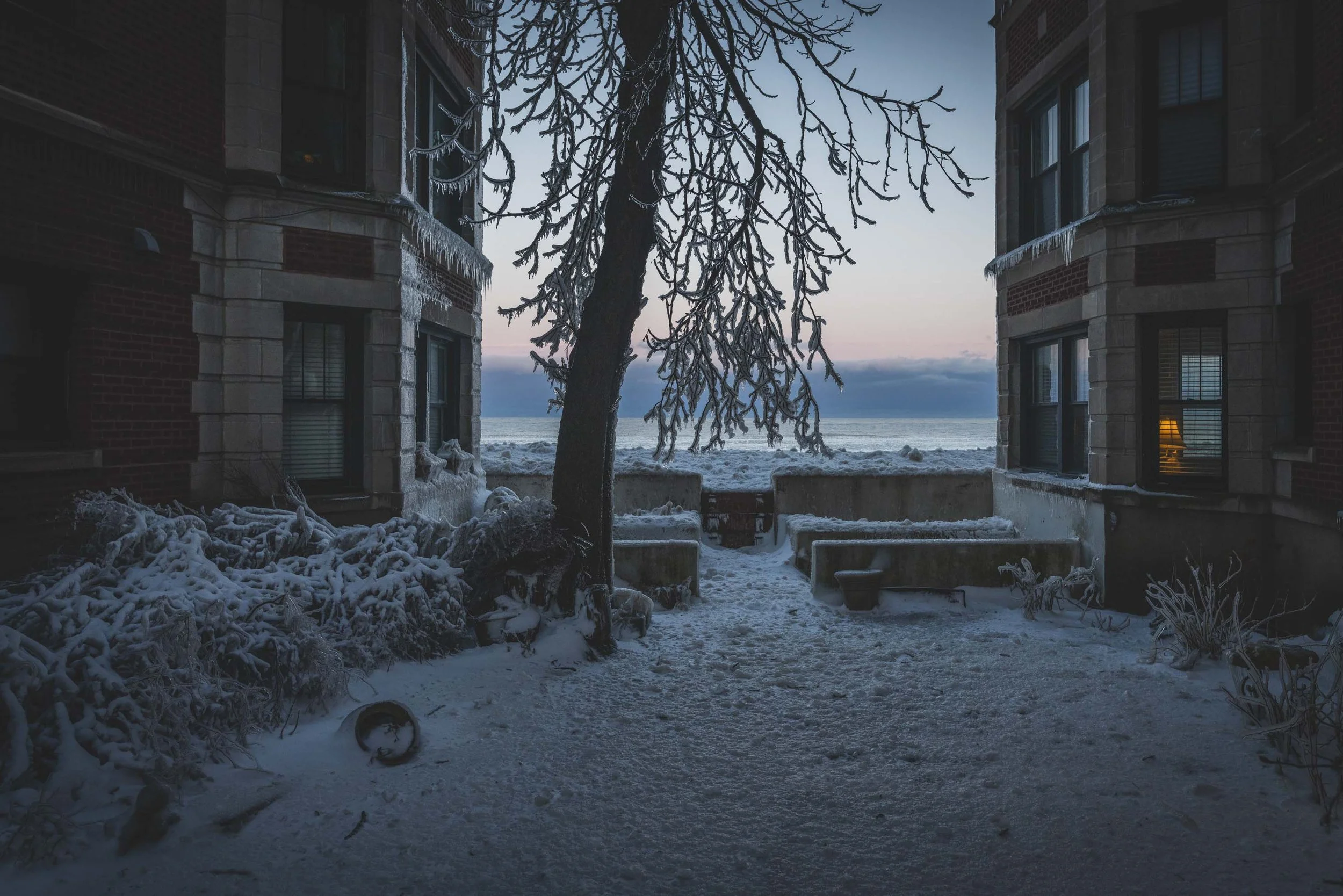 21_WinterStormRogersPark_2026Update_PolarVortex_Website-18.jpg