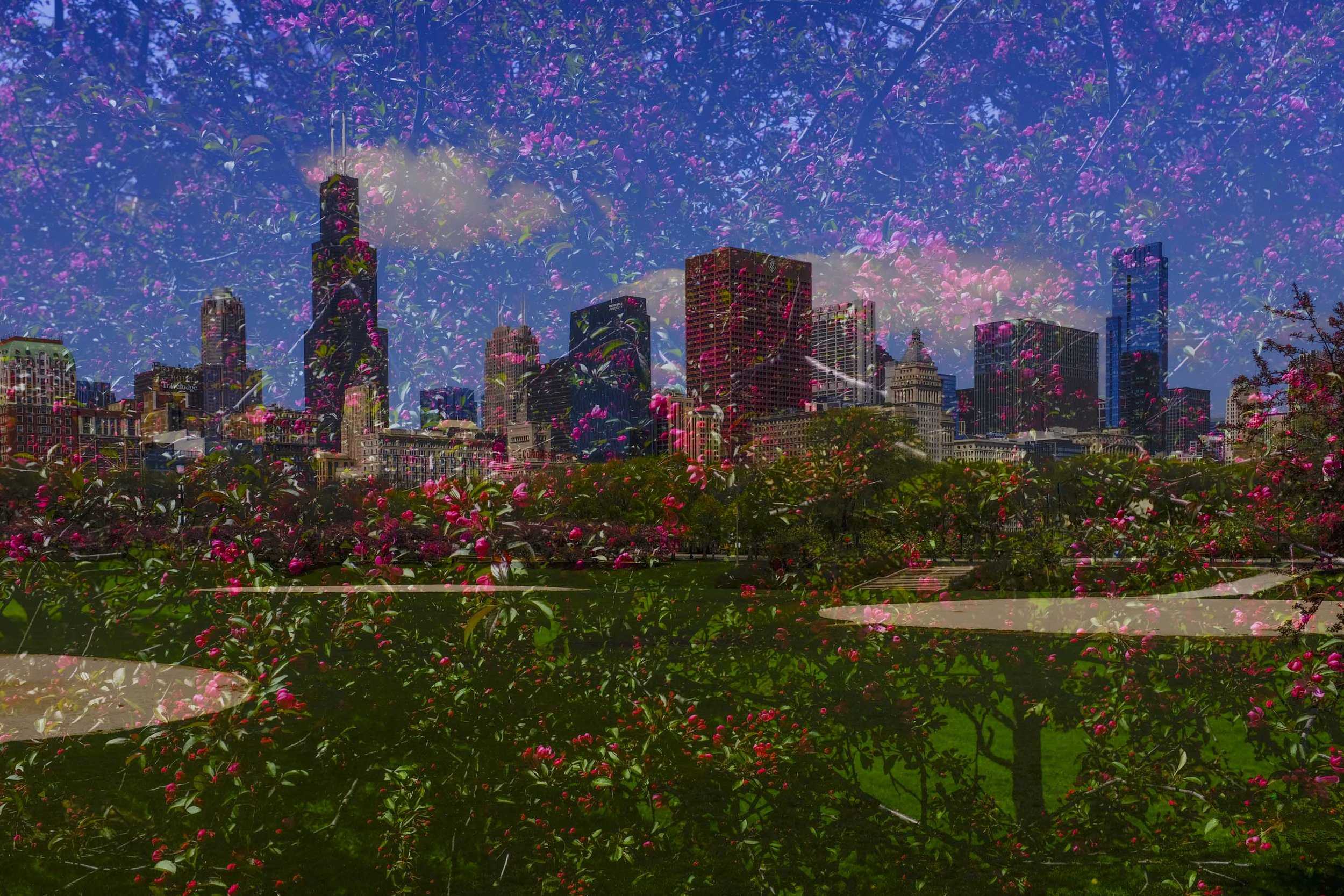 26_Skatelife_PhotographsChicago_GrantParkPicassoSpringRedTreeskyline_Website-23.jpg