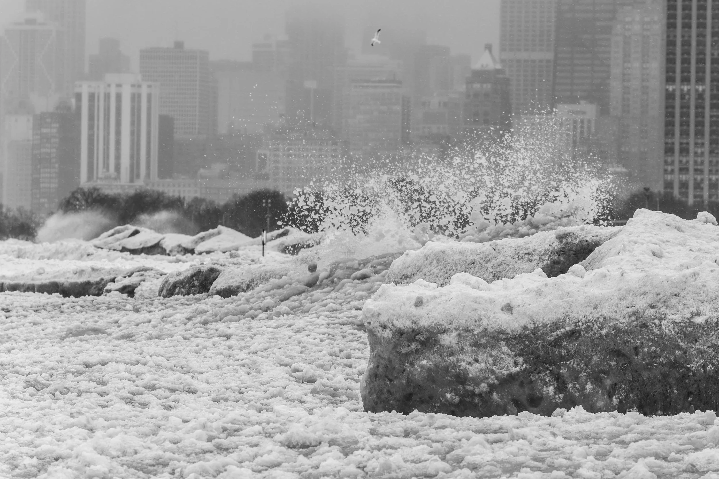 2505_ChicagoDaBeautiful_WinterStorm_RowdyLakeMichiganFullerton_WebsiteSeries0722.jpg