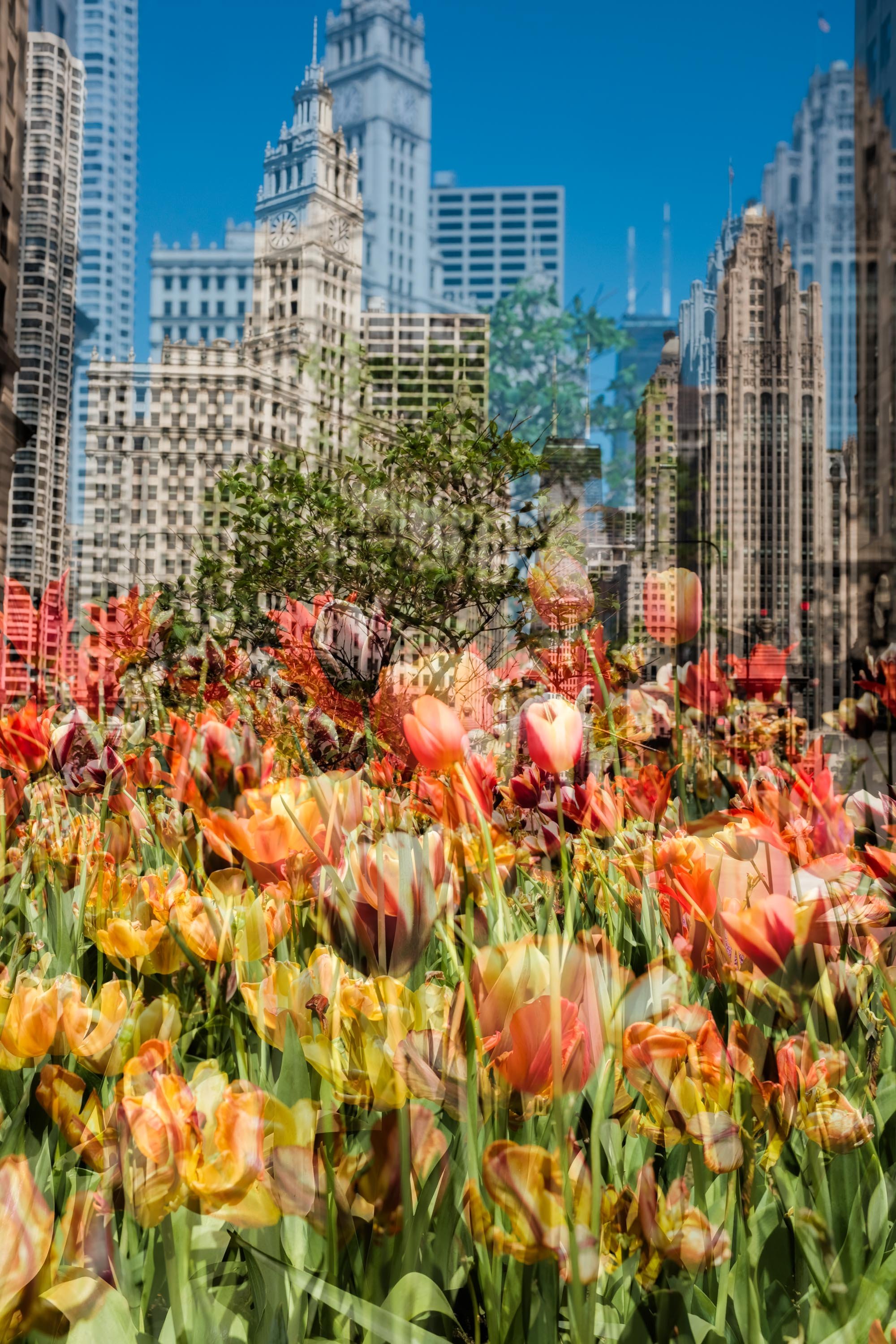 26_SkatelifePhotographsChicago_SpringRogersParkIcycles_NoKings_ChicagoDoubleExposures_Edit_WebsiteReady_335.jpg