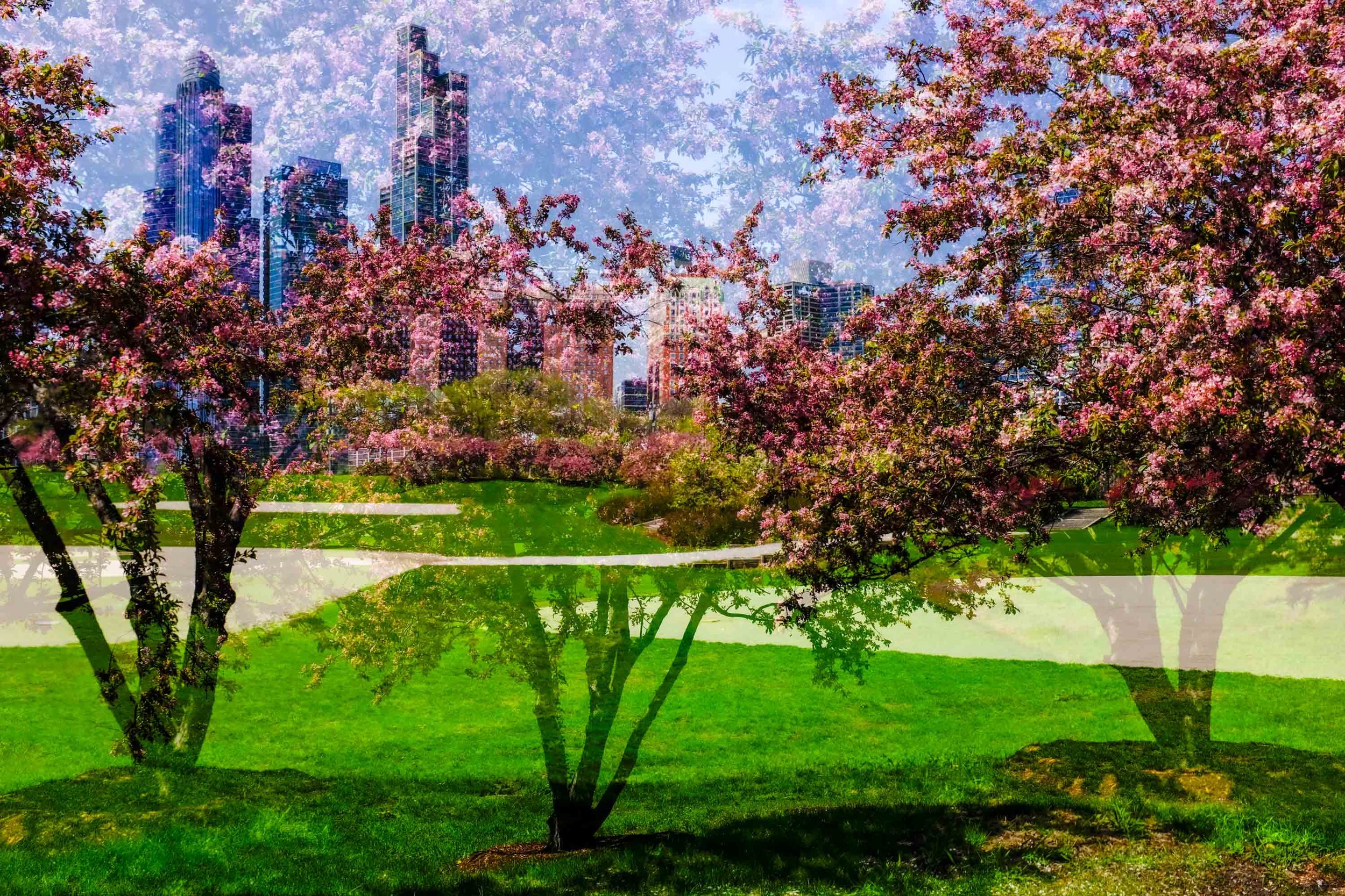 26_SkatelifePhotographsChicago_SpringRogersParkIcycles_NoKings_ChicagoDoubleExposures_Edit_WebsiteReady_218.jpg