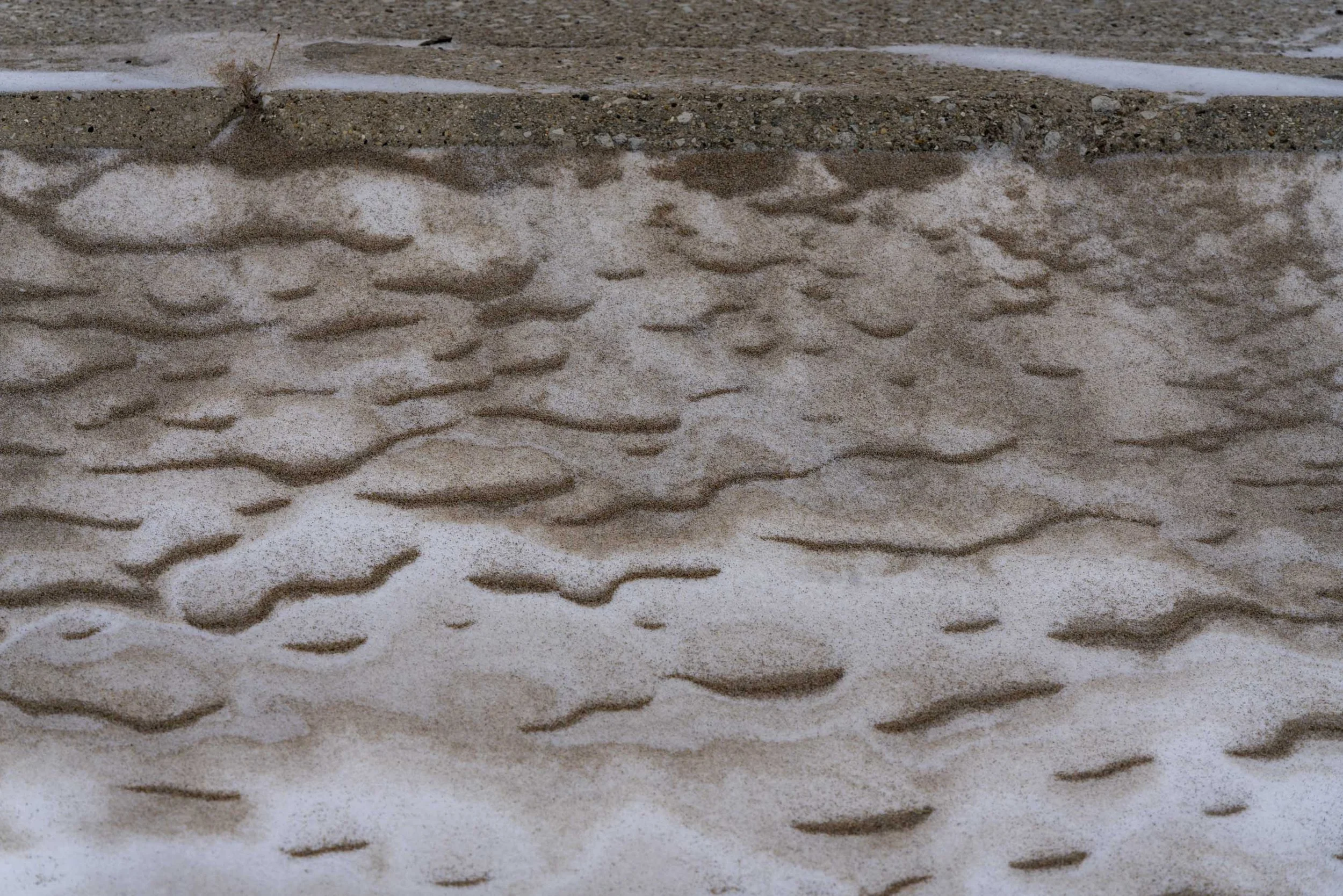 250210_ChicagoDaBeautiful_ChicagoWinter_RogersPark_LakeMichigan_Website 3979.jpg