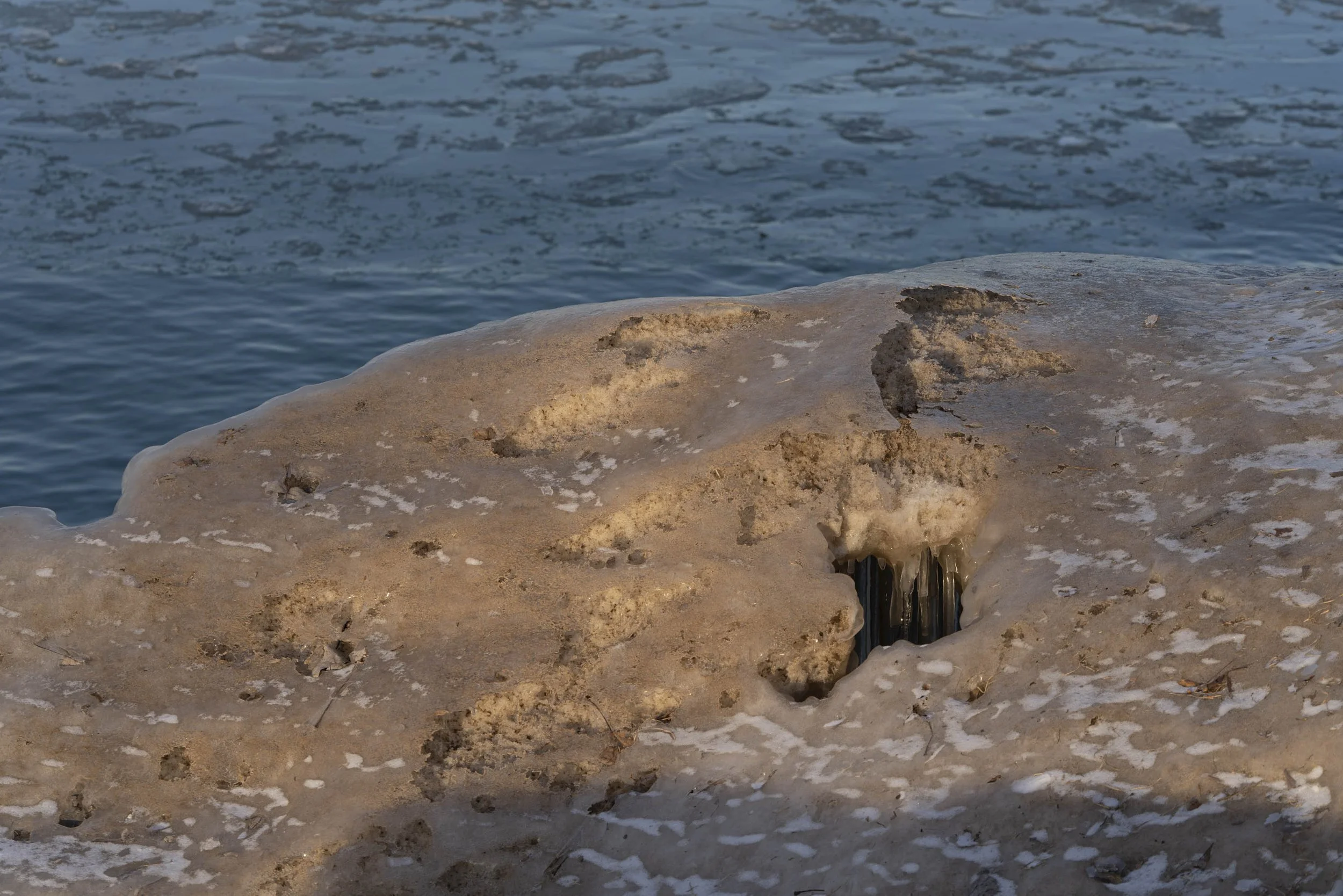 250210_ChicagoDaBeautiful_ChicagoWinter_RogersPark_LakeMichigan_Website 3902.jpg