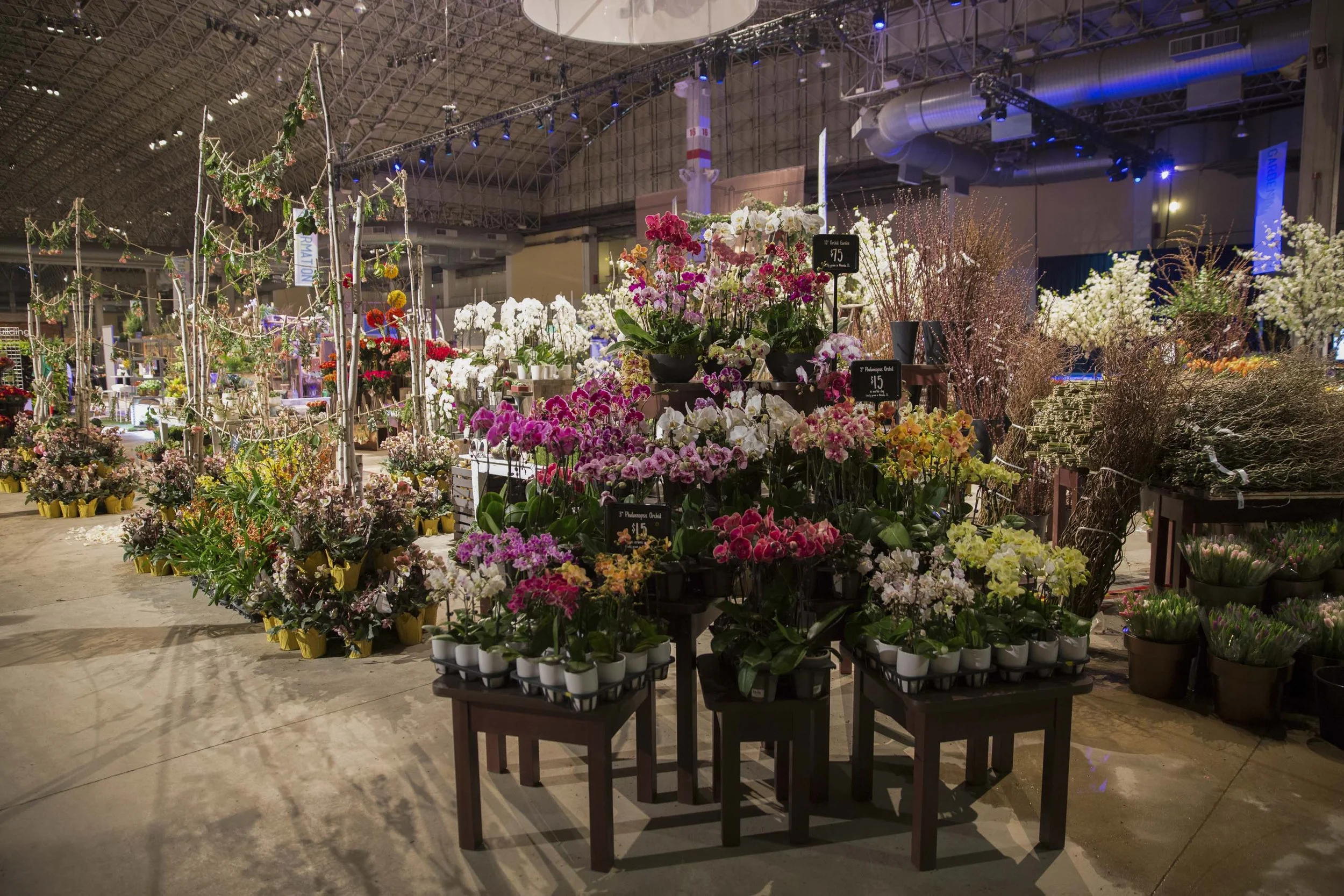 Chicago Flower & Garden Show