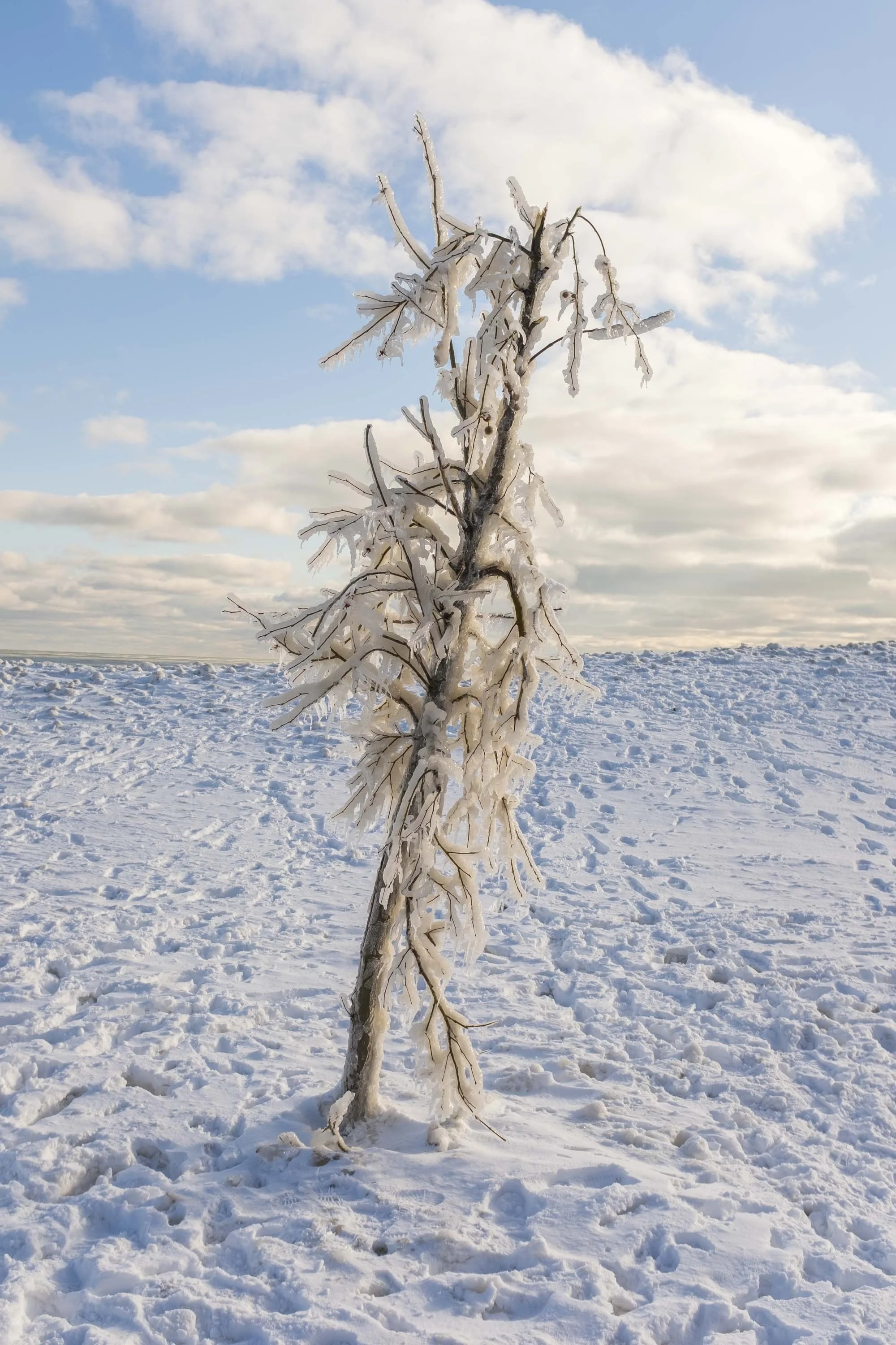 21_WinterStormRogersPark_2026Update_PolarVortex_Website-2.jpg