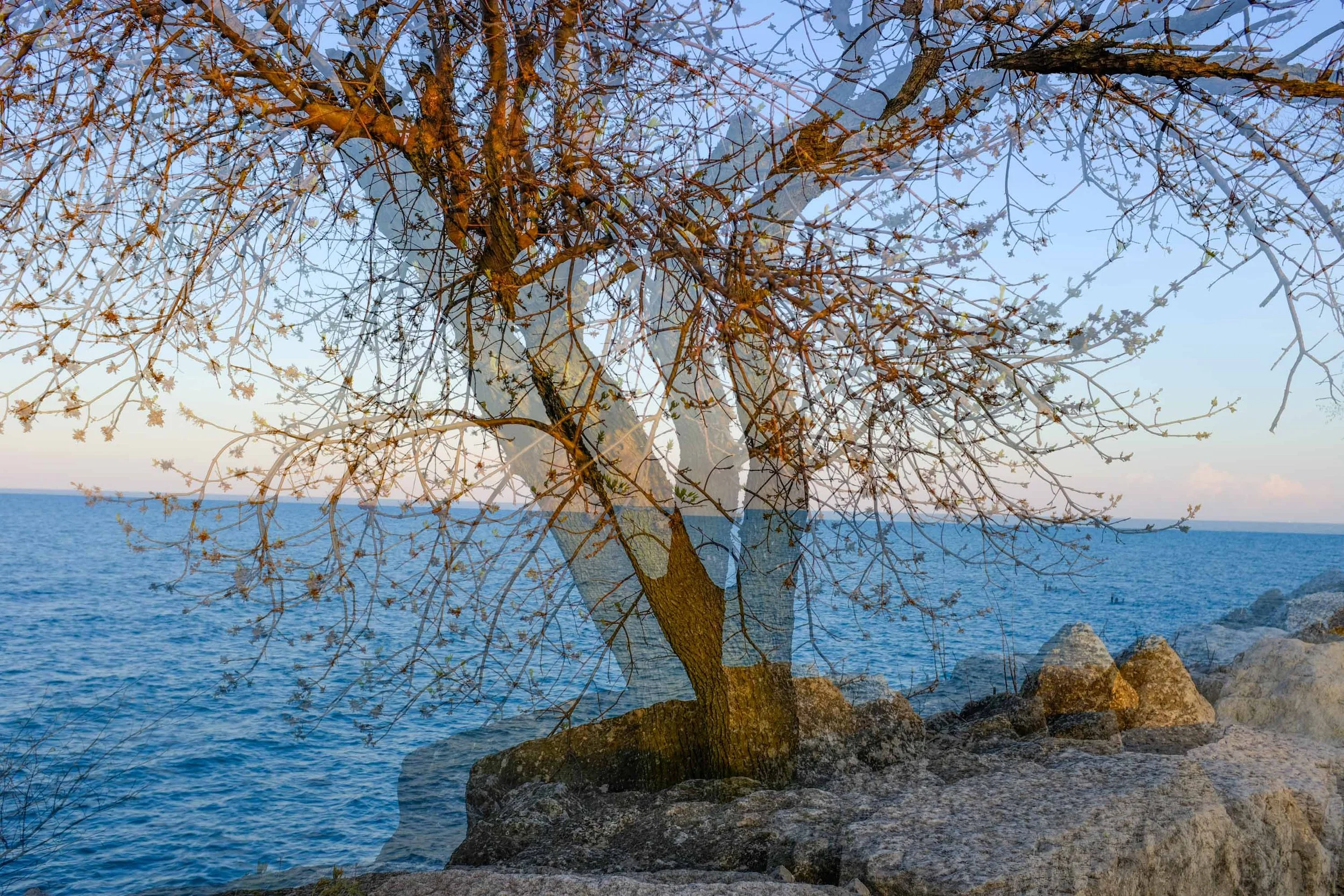 26_SkatelifePhotographsChicago_SpringRogersParkIcycles_NoKings_ChicagoDoubleExposures_Edit_WebsiteReady_244.jpg