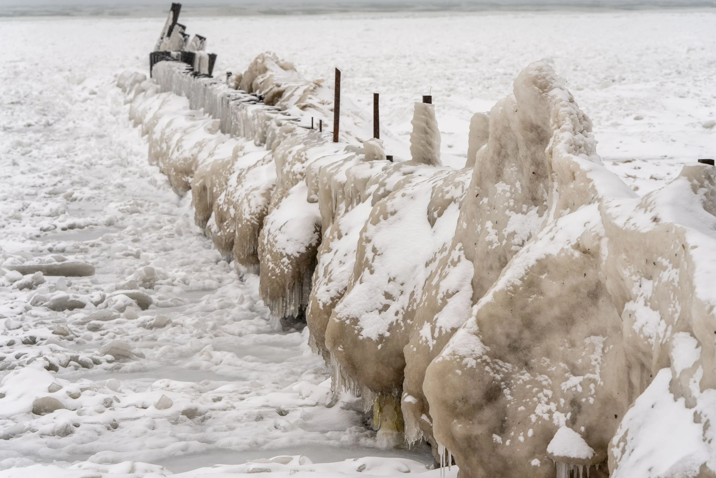 250210_ChicagoDaBeautiful_ChicagoWinter_RogersPark_LakeMichigan_Website 4040.jpg