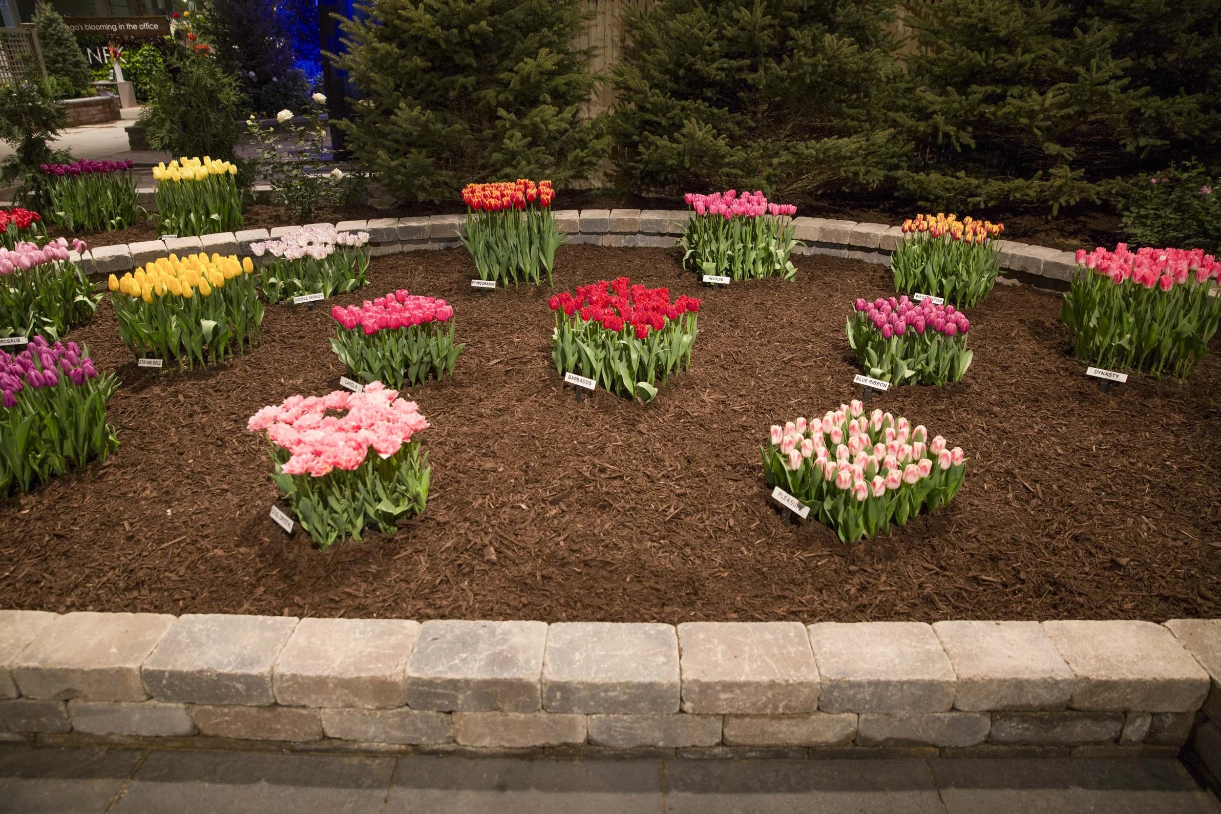 Chicago Flower & Garden Show