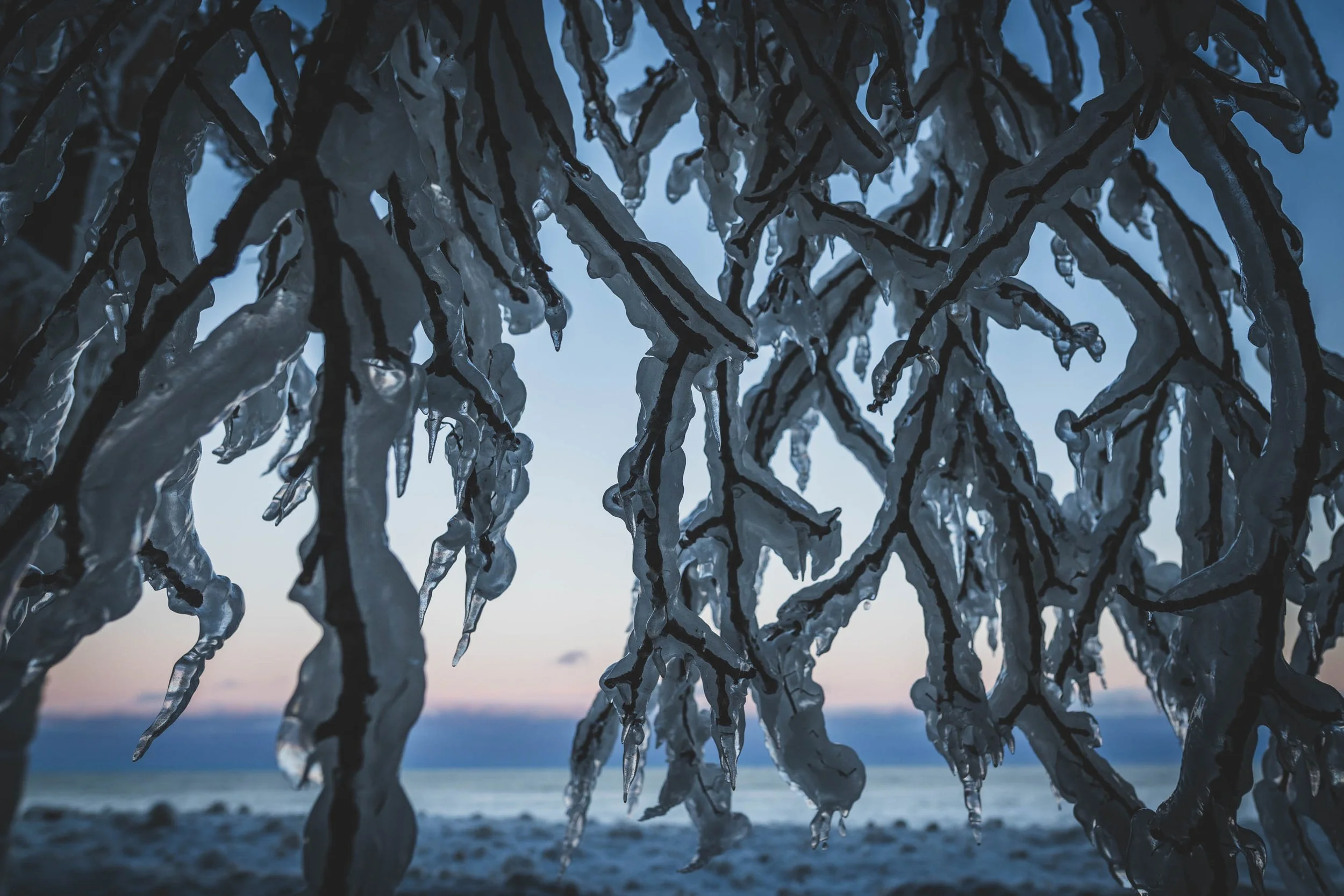 21_WinterStormRogersPark_2026Update_PolarVortex_Website-3.jpg