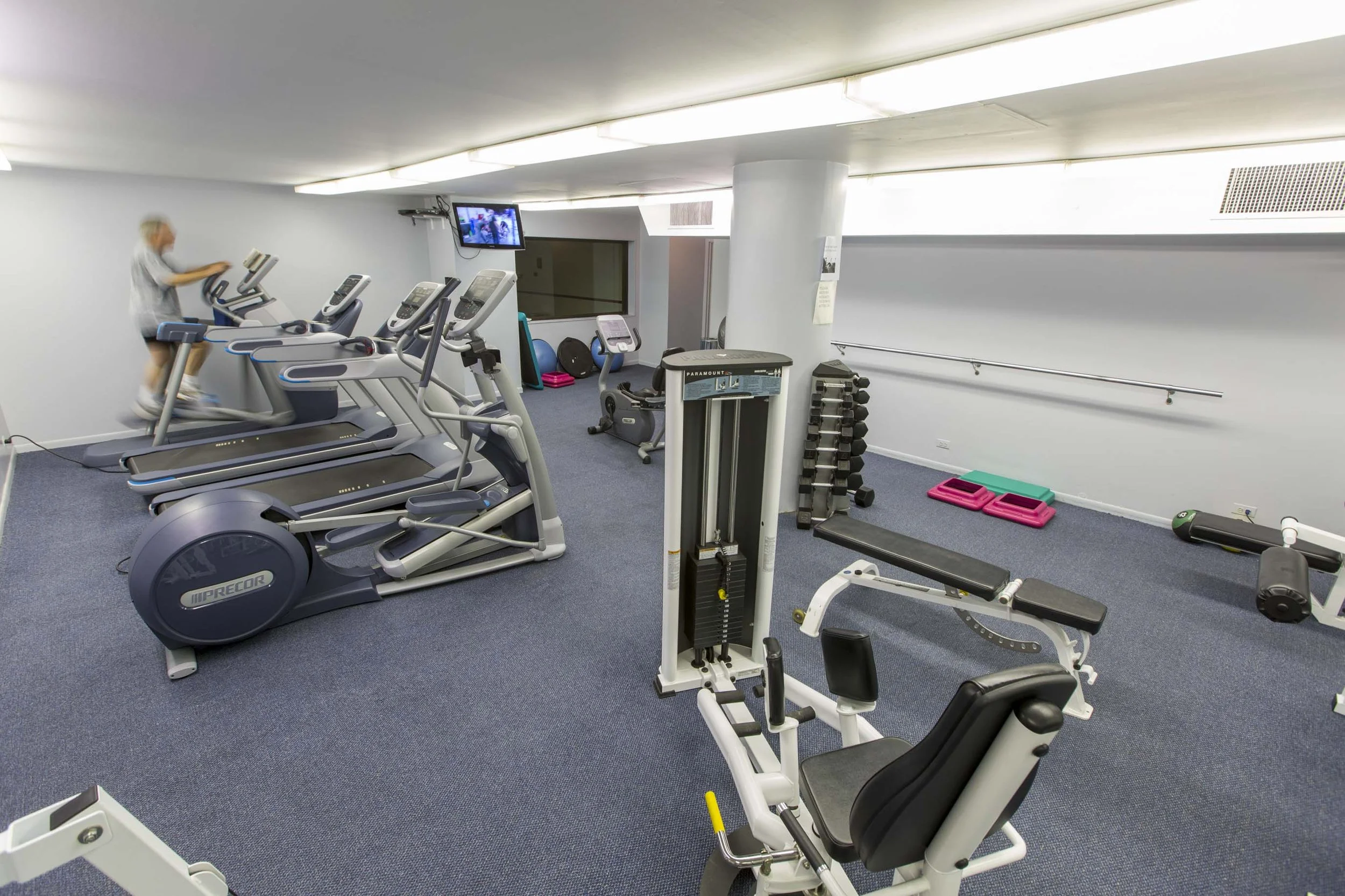 The Pierre. 2100 N. Lincoln Park West, Lincoln Park, Chicago.