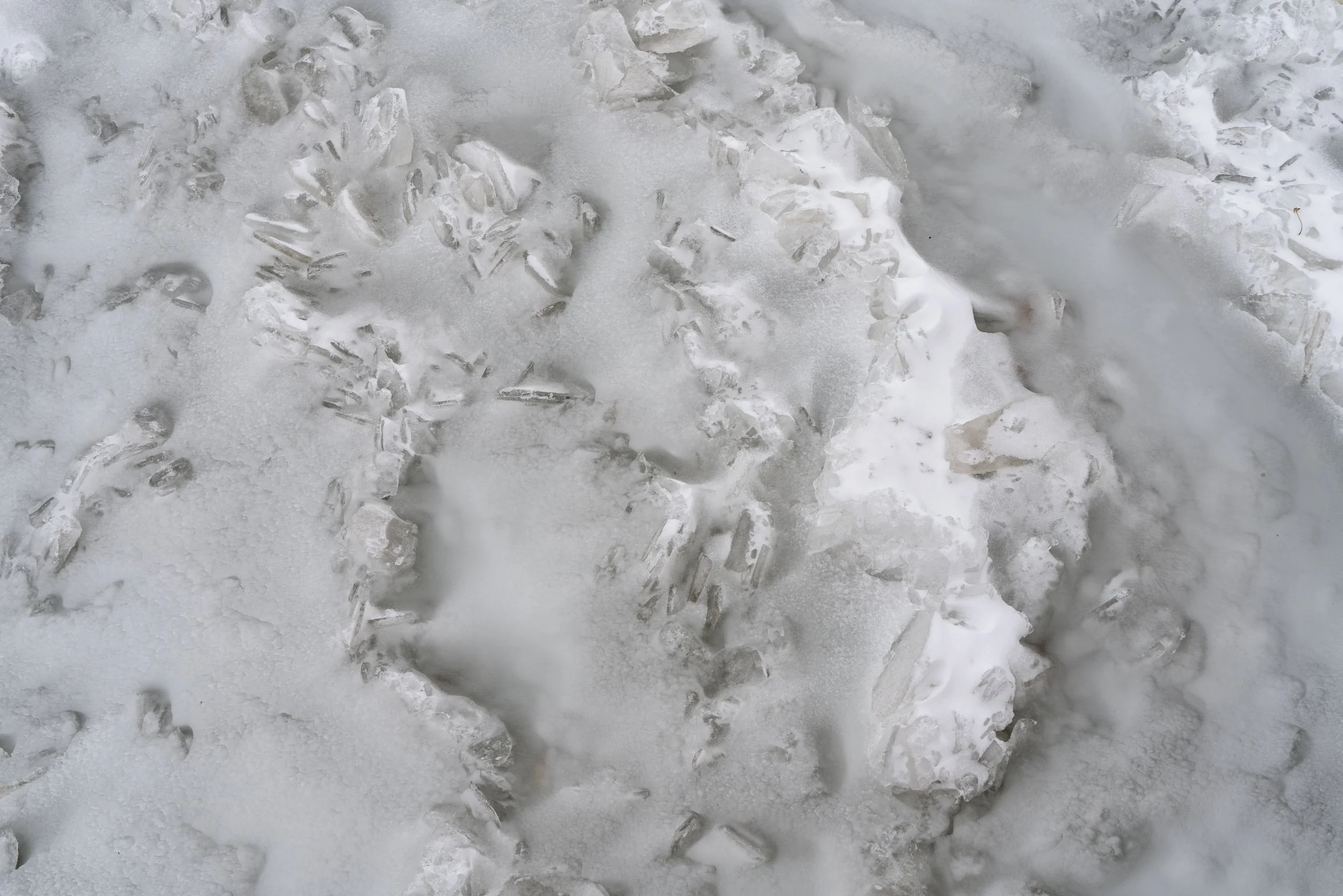 250210_ChicagoDaBeautiful_ChicagoWinter_RogersPark_LakeMichigan_Website 3933.jpg