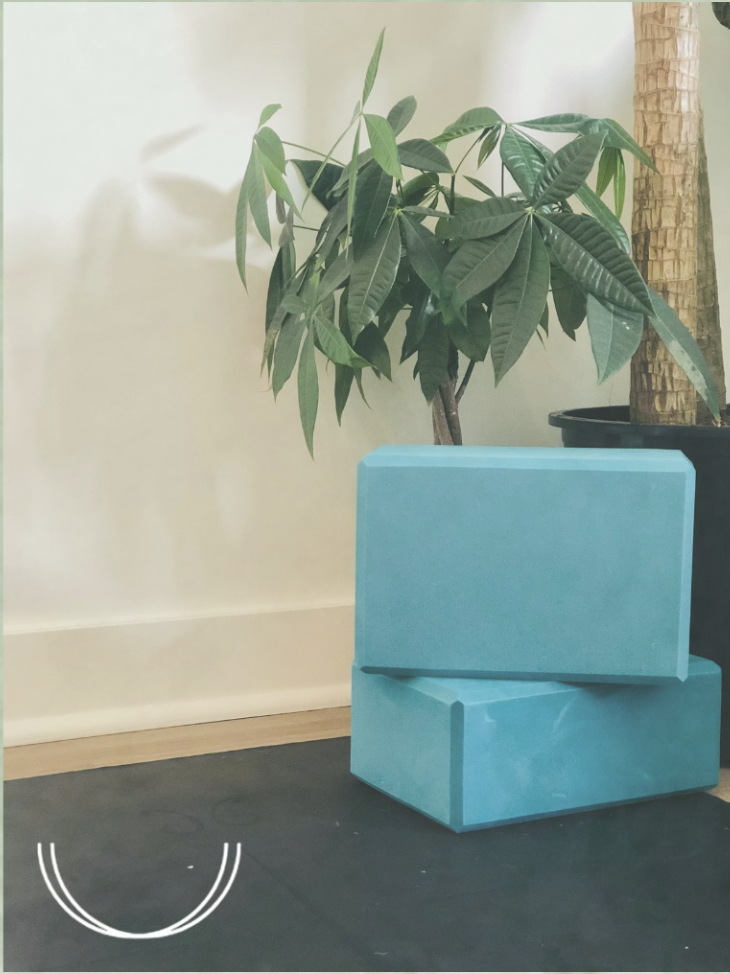 A potted plant with large green leaves placed on the floor next to a black pot and a blue foam yoga block on a dark mat.