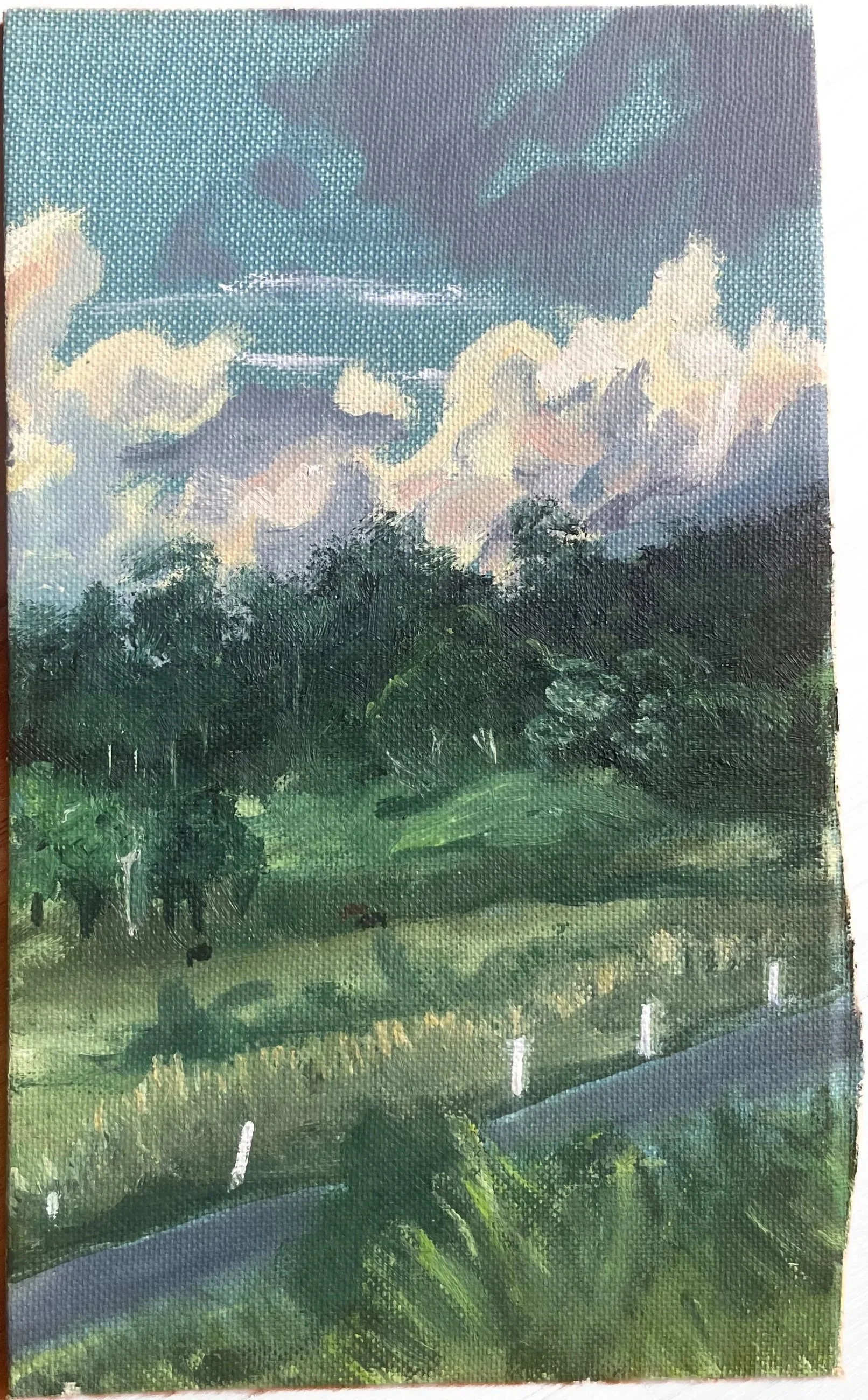 The Drive Home (Hinterland Paddock)