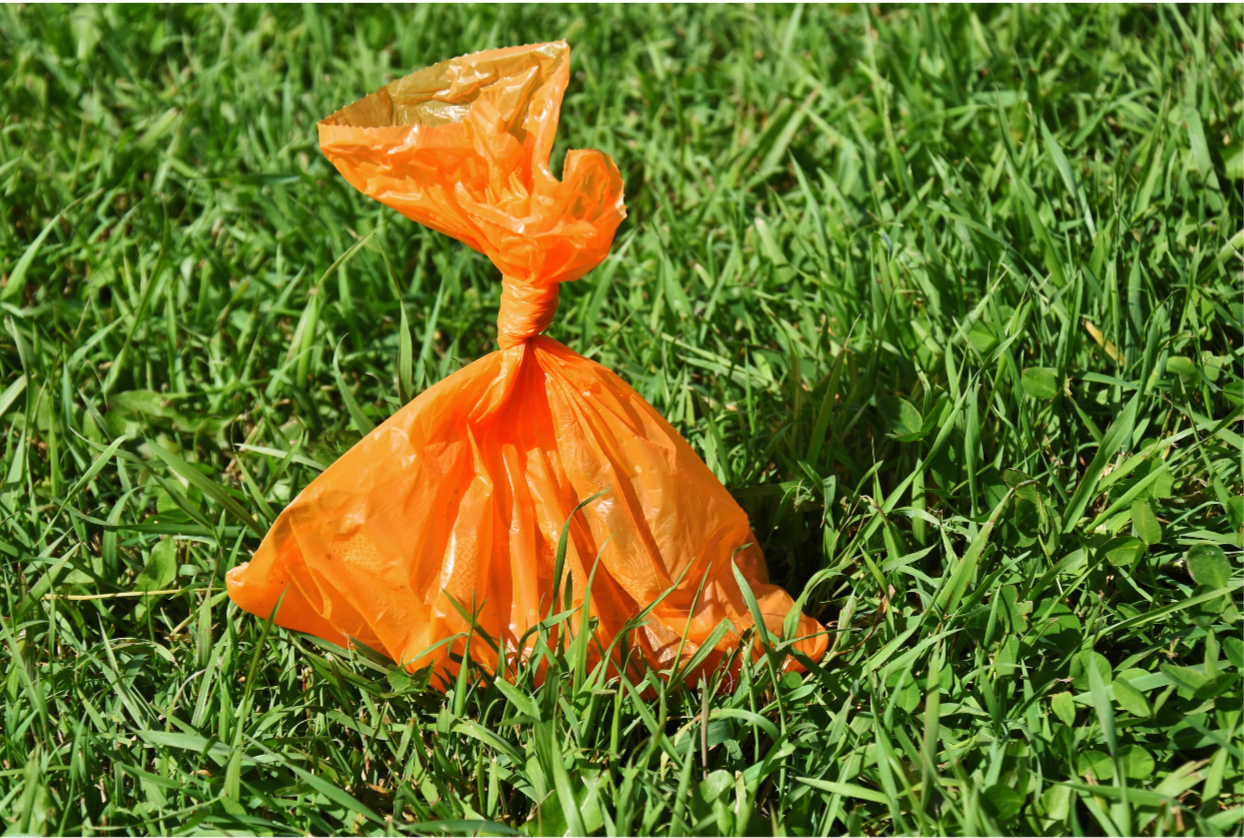 An orange plastic bag tied at the top, placed on green grass outdoors.