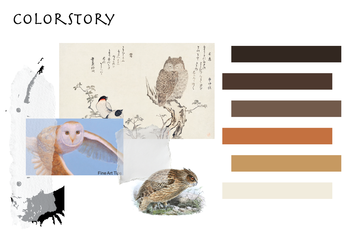 Collage of bird illustrations and photographs, including an owl, a hawk, and a traditional Japanese painting of an owl and birds on branches with Japanese calligraphy.
